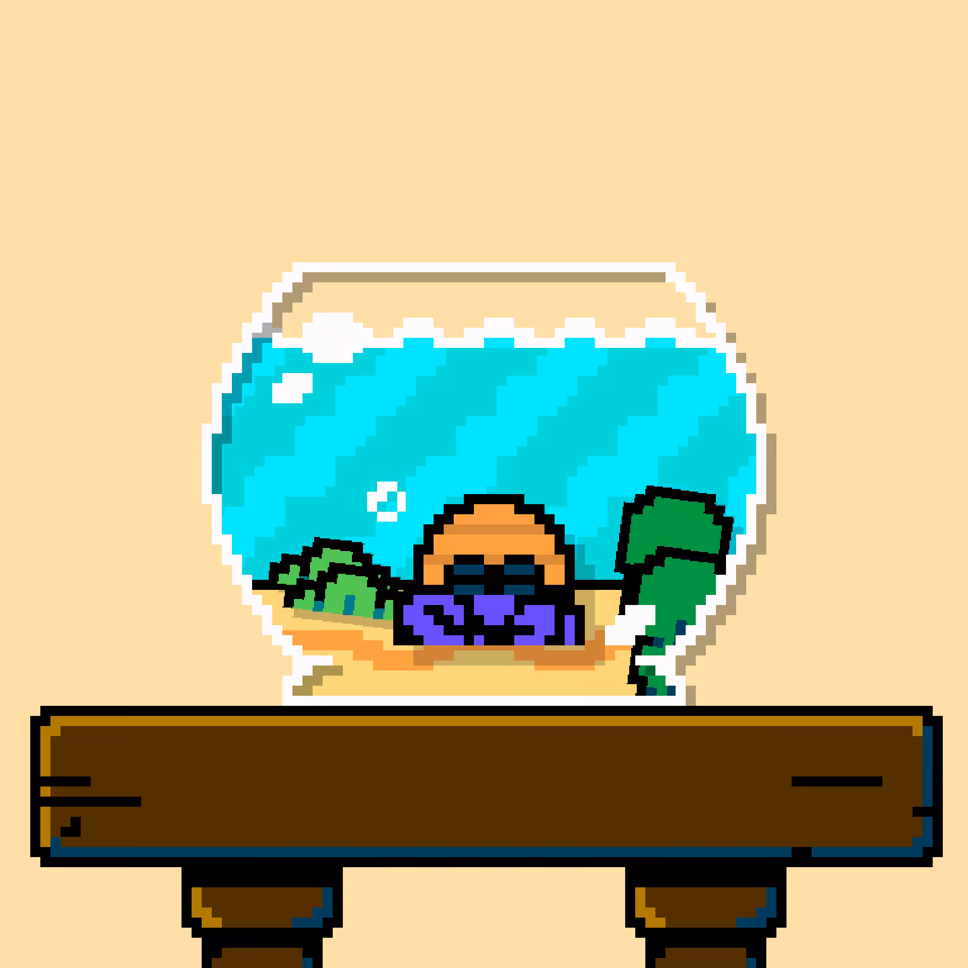 hermit crab #19