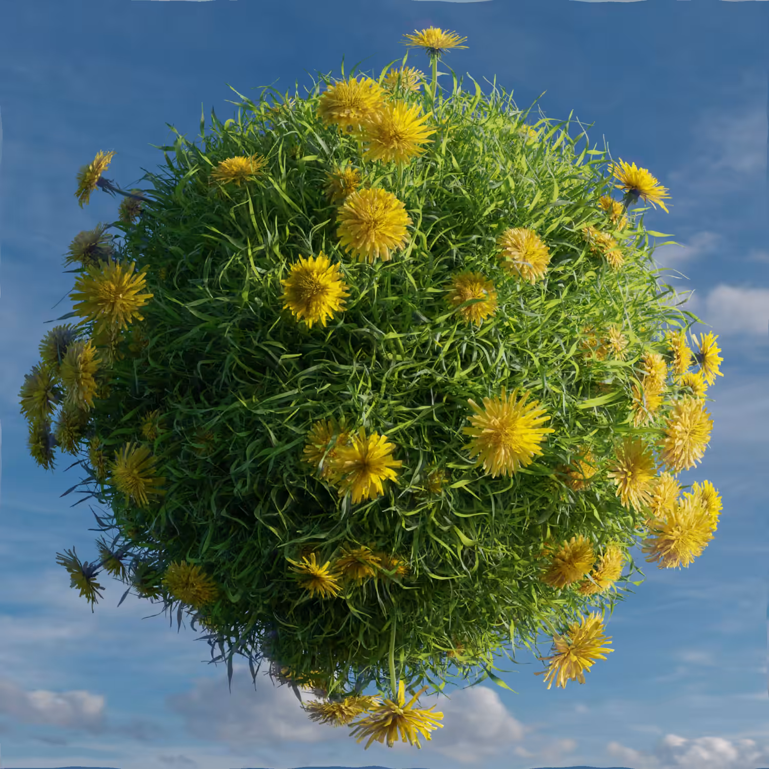 Grassland