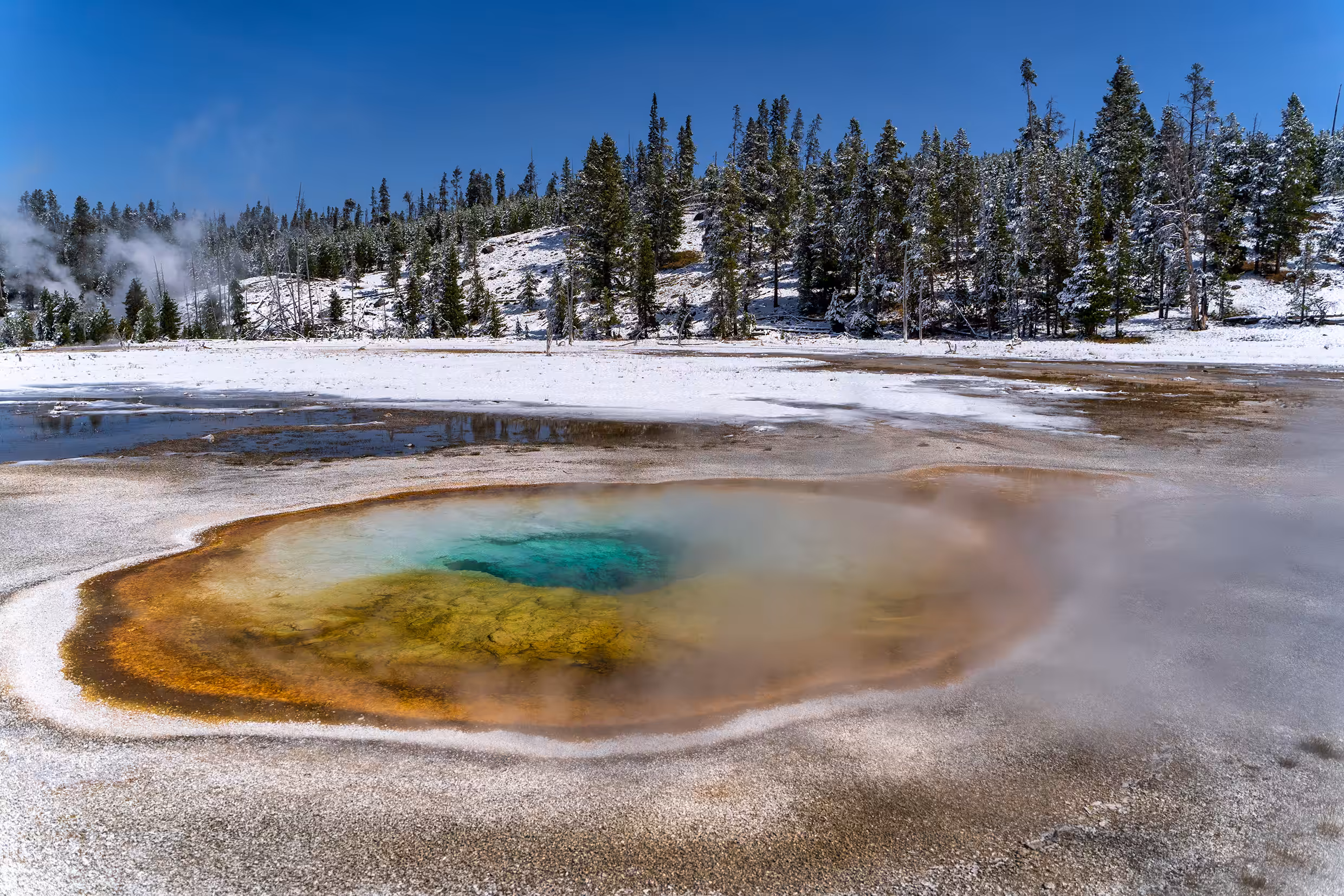Beauty Pool 
