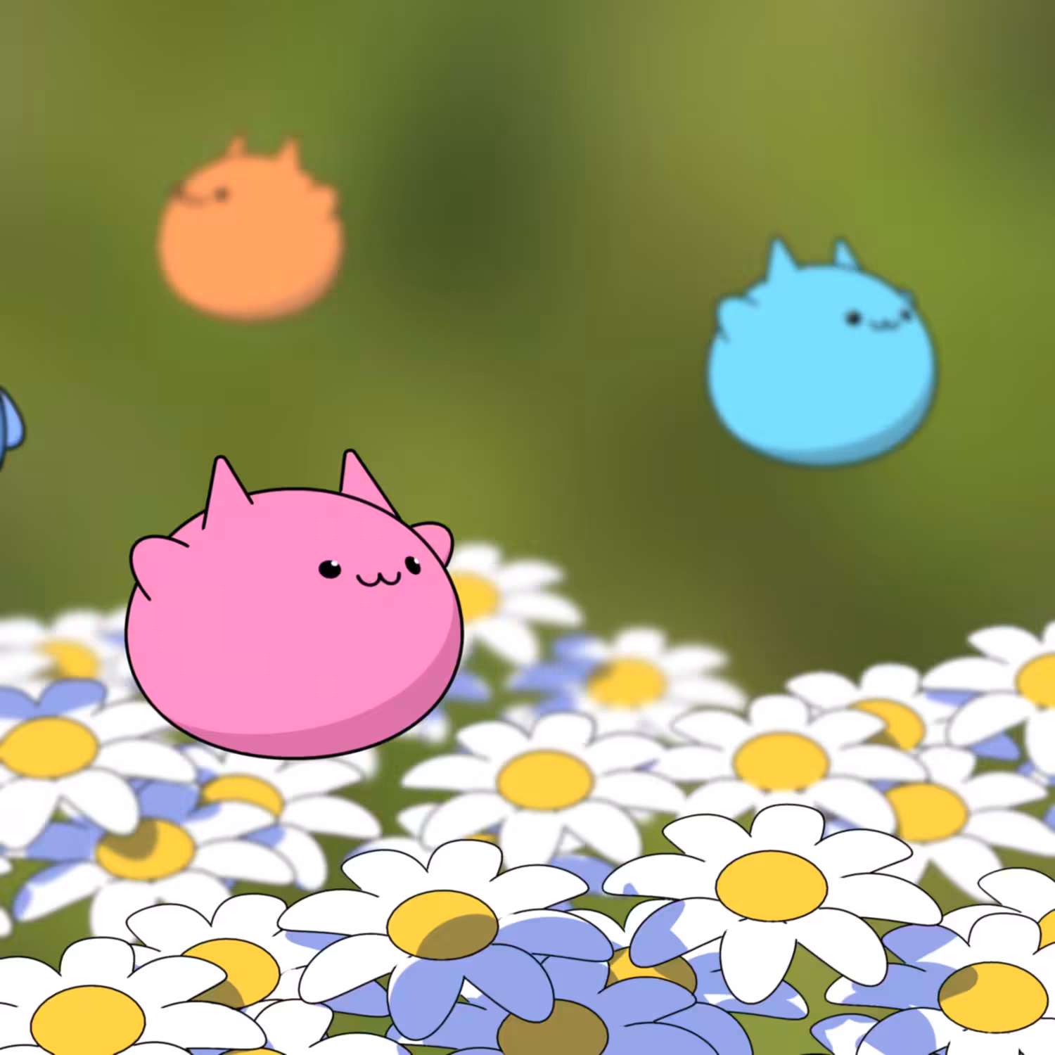 Spring blossom