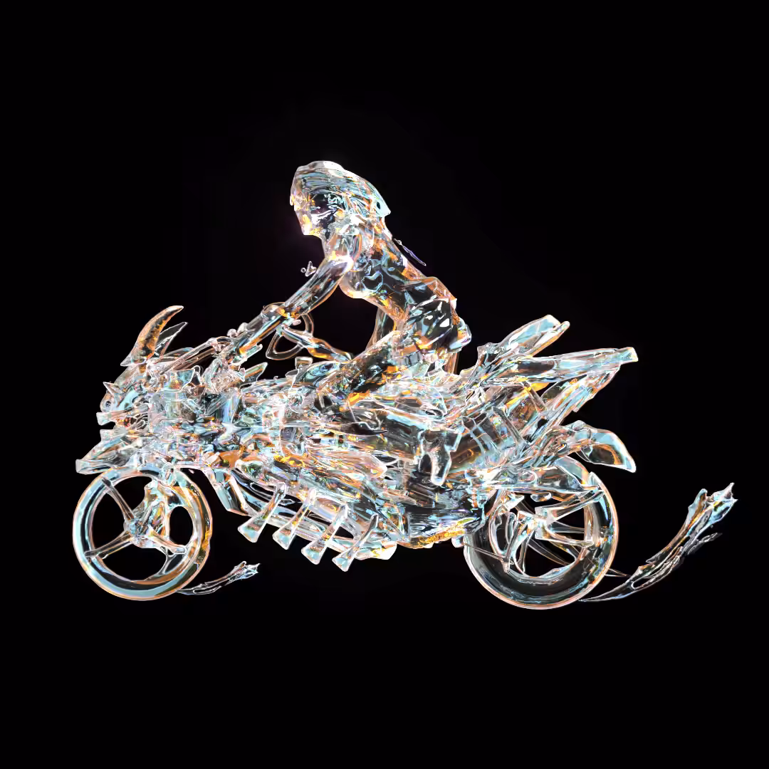 Flesh Bike #007