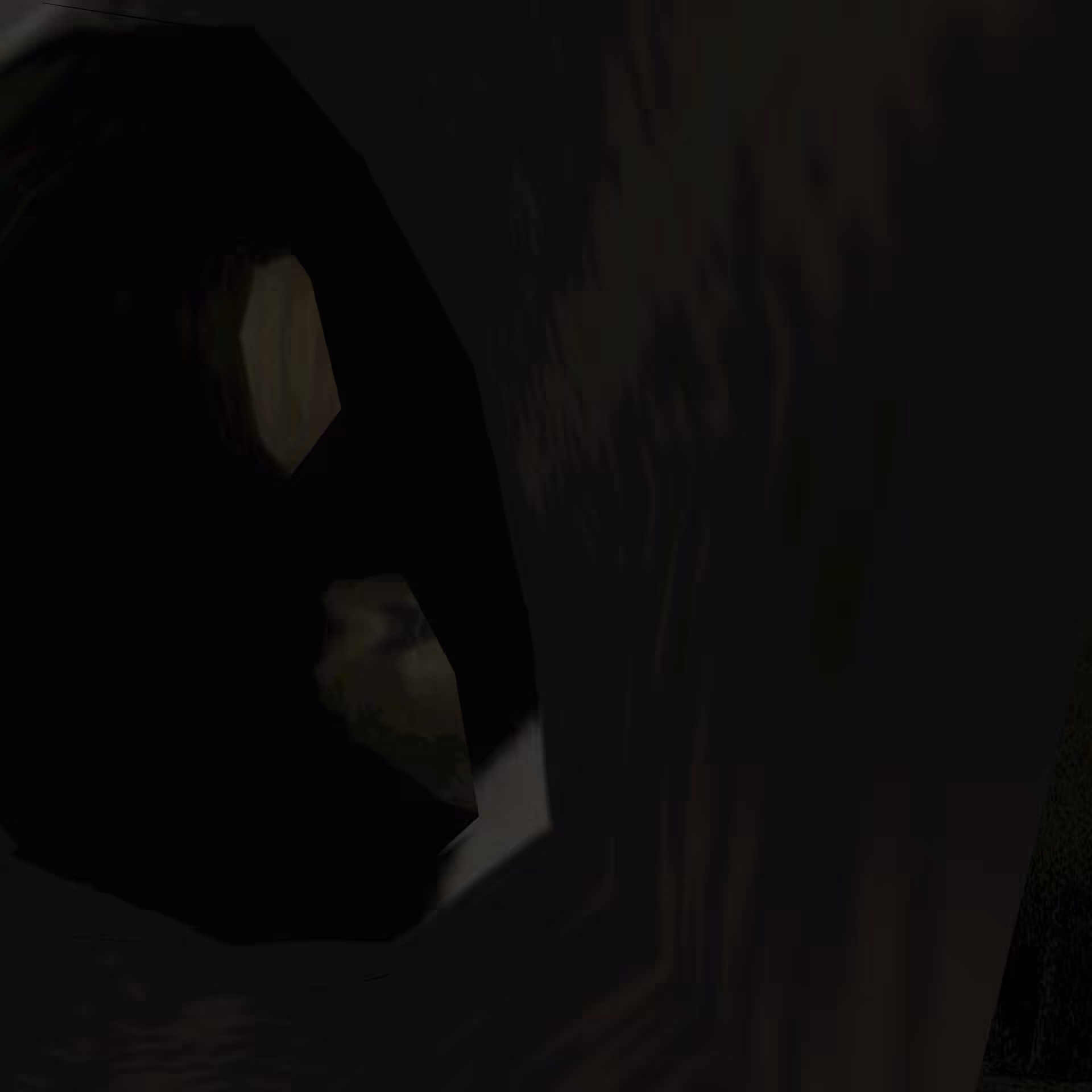 backflip_2940