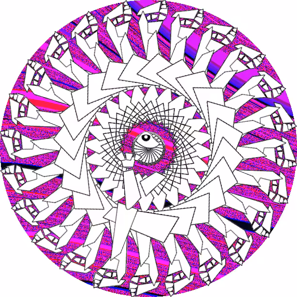 Spin #3