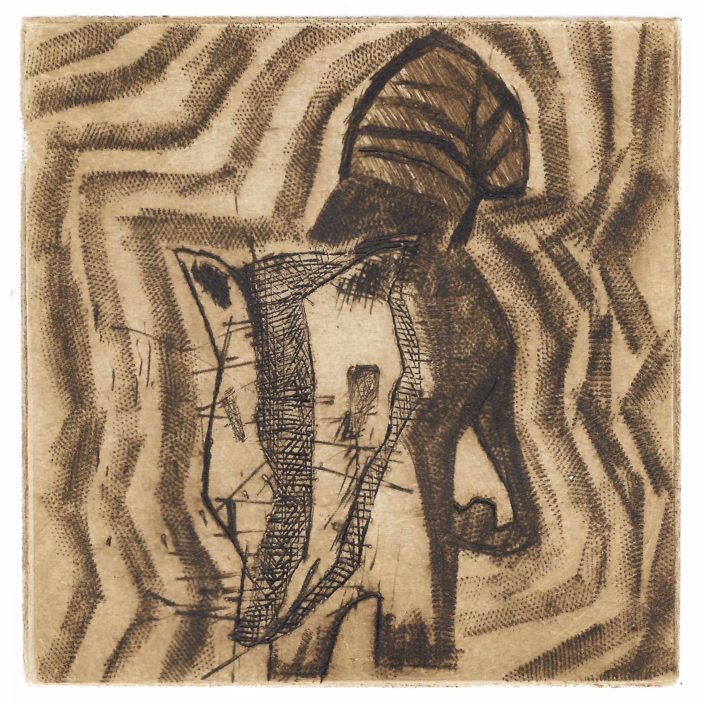 Metal Engraving - Animal: Quati