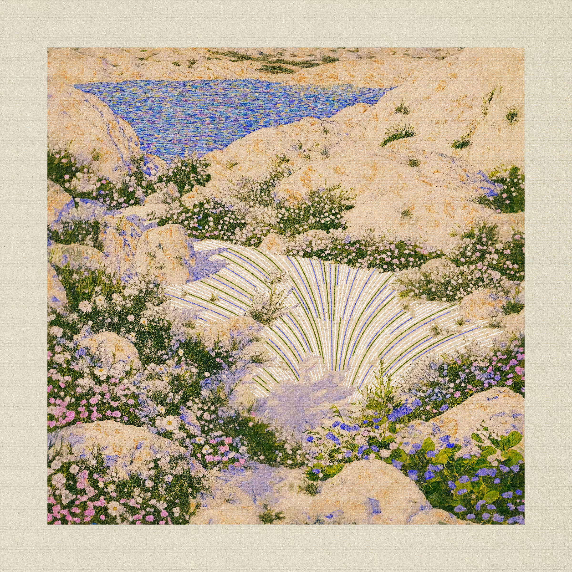 Scenes: Wildflowers at noon