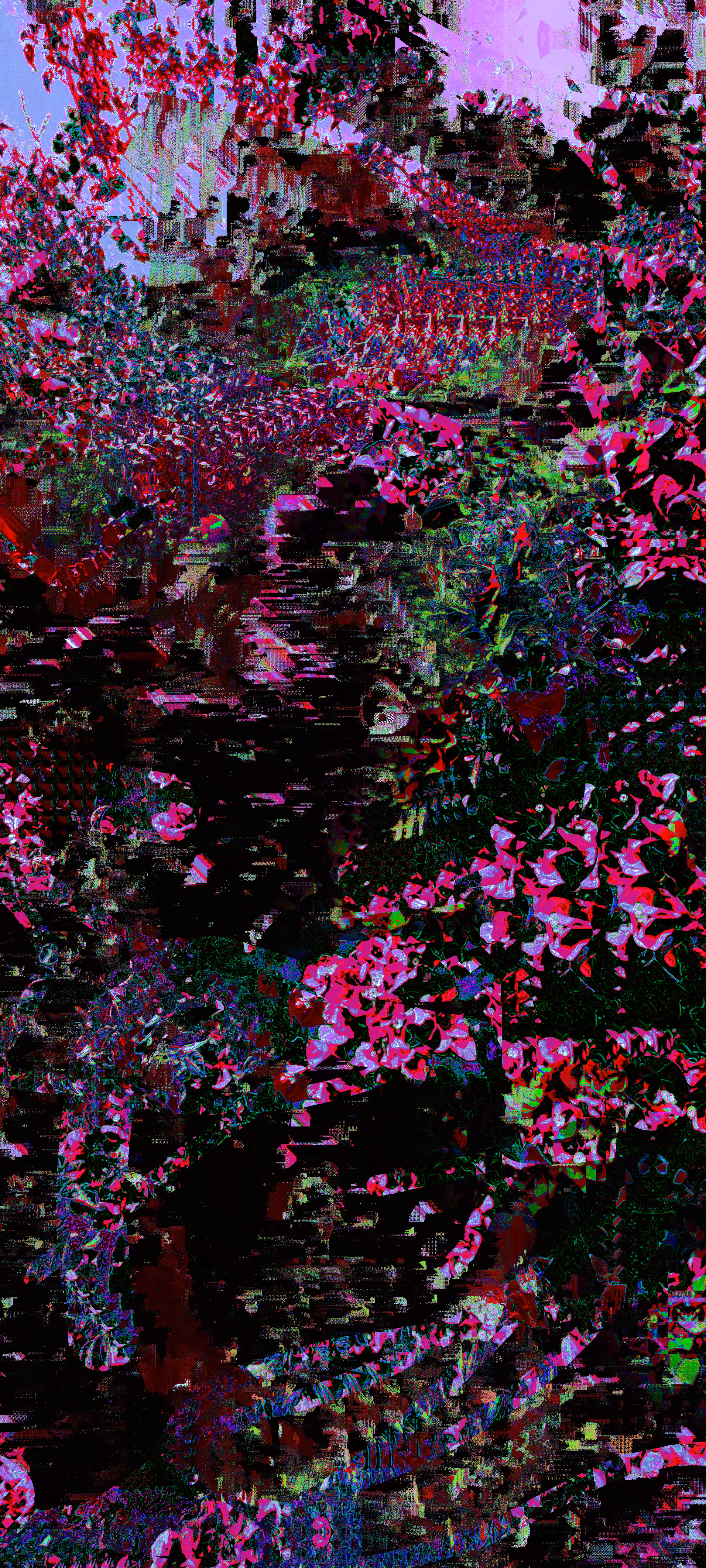 Flowers in my attic - "electric bloom"