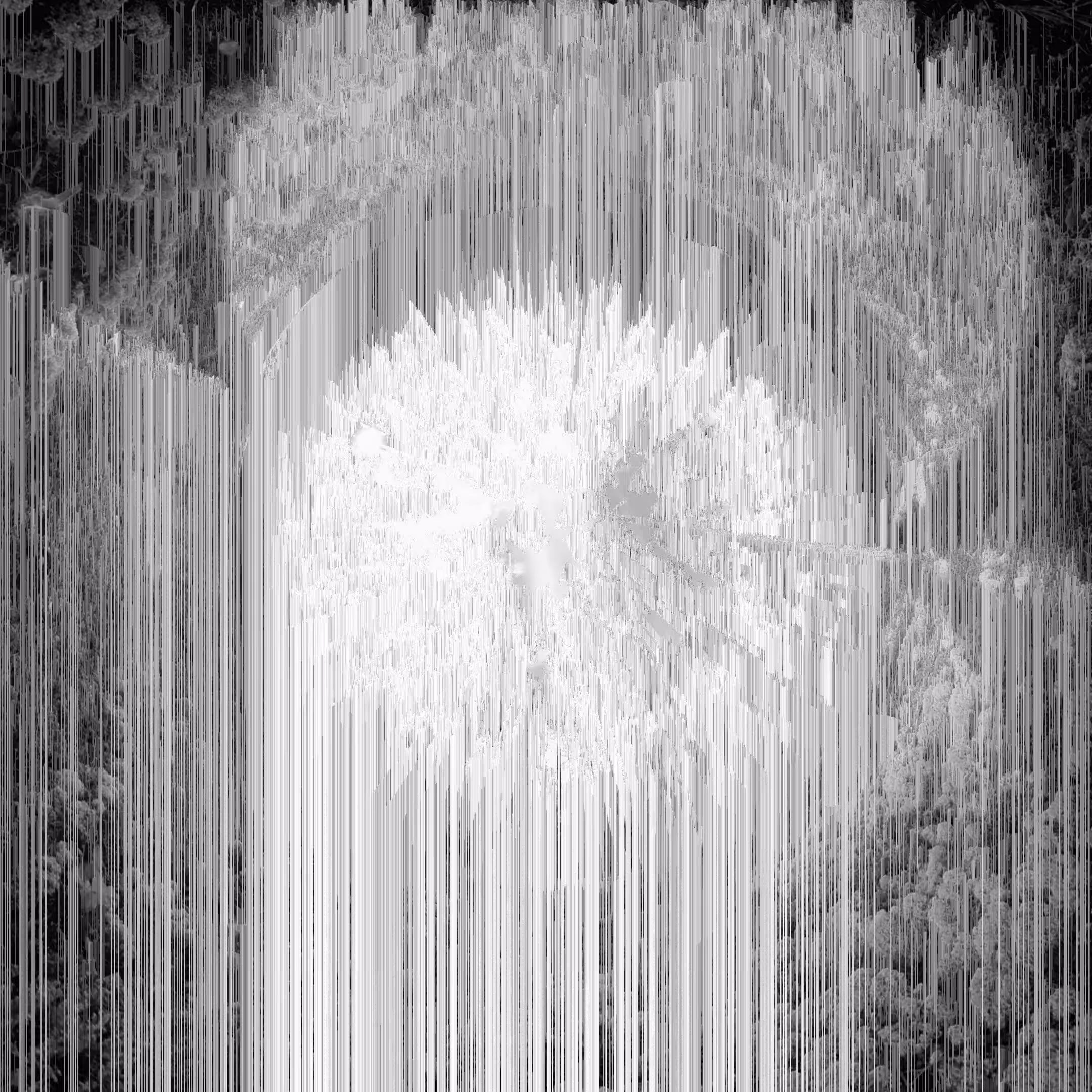 Forest Glitch series Black&White: Processing 01