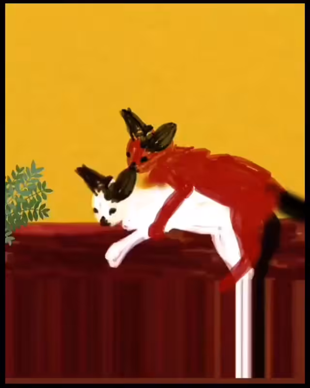 catsmaran