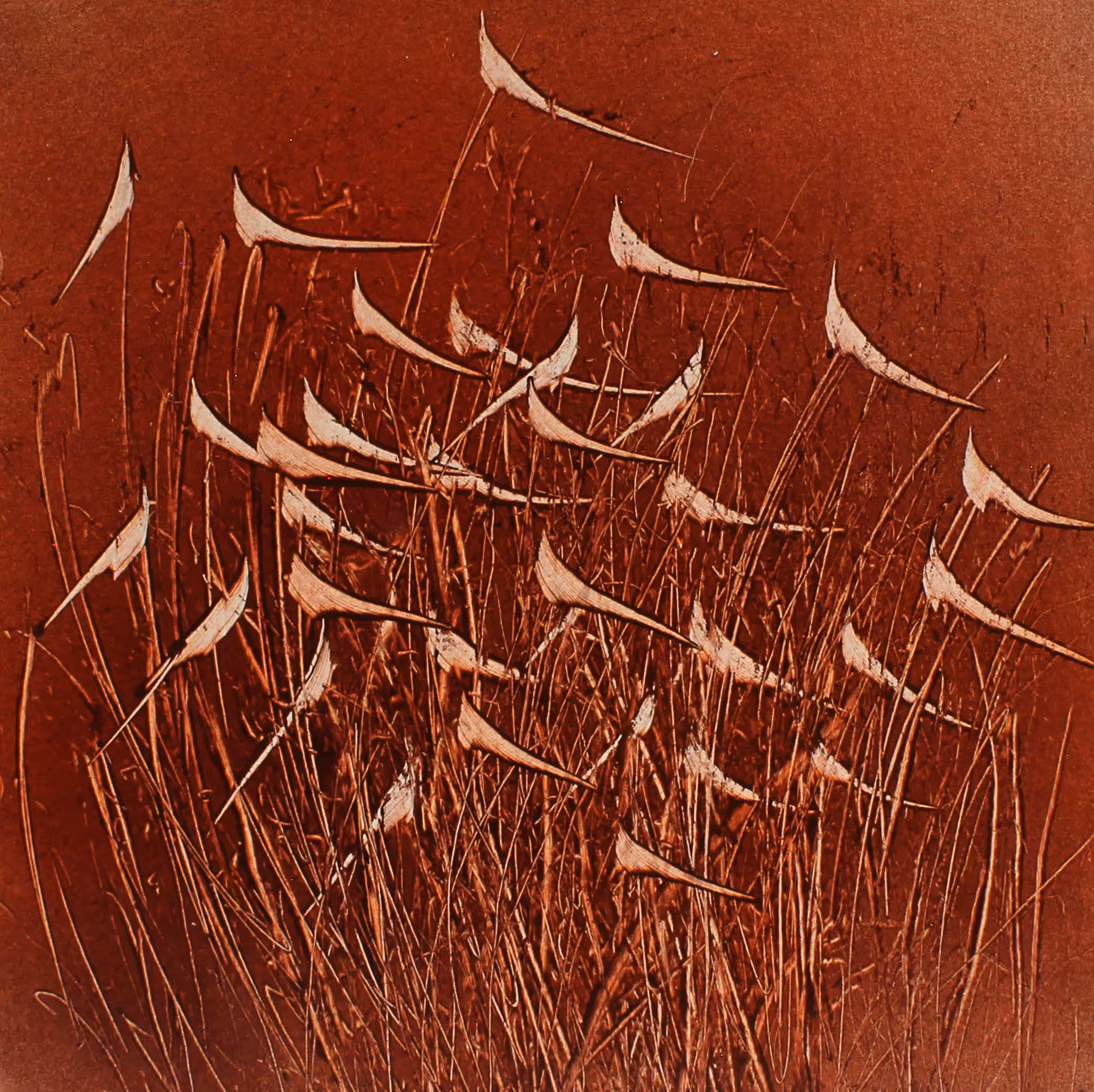 Song of Birds