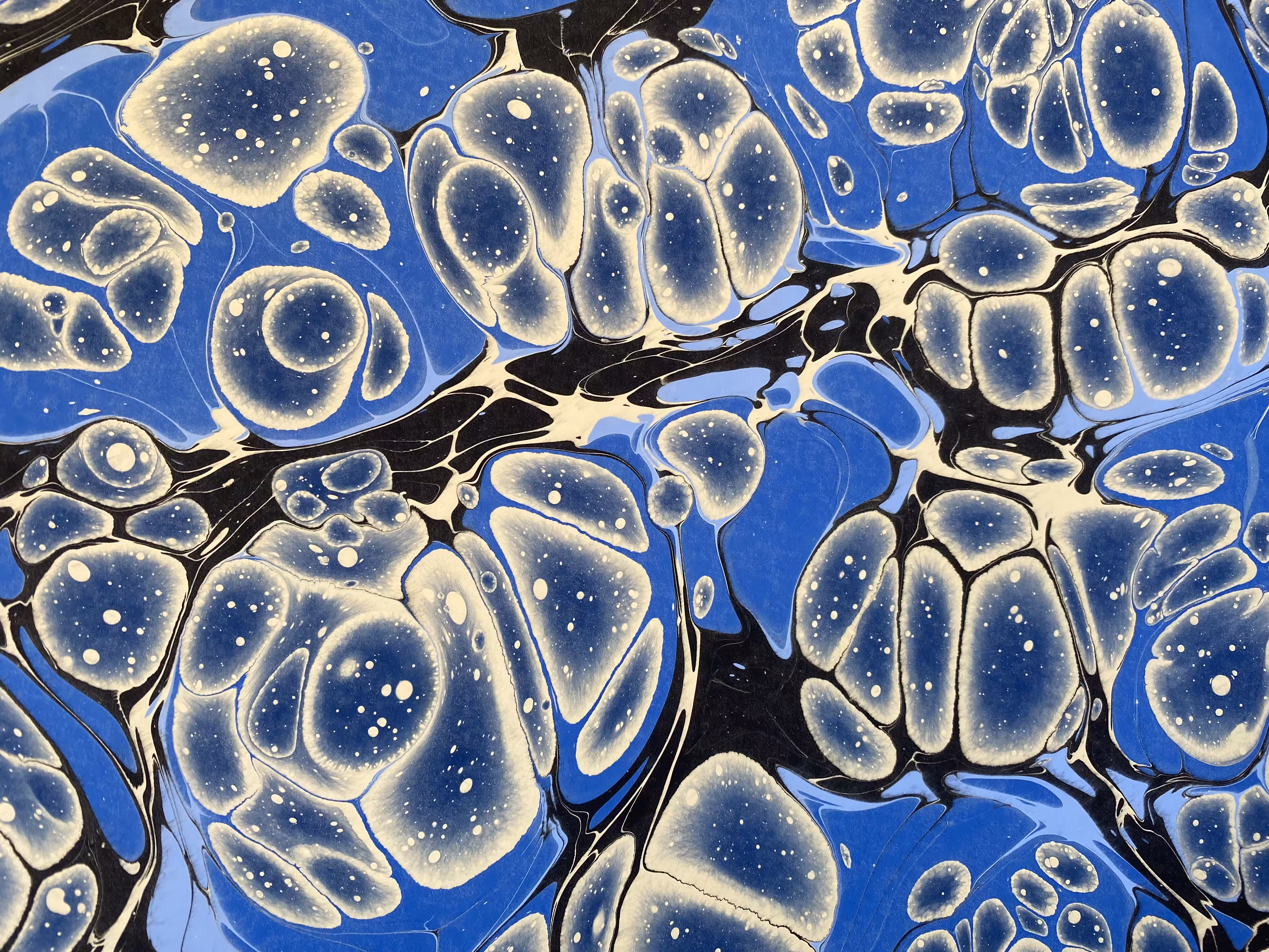 Battal Ebrû / Marbling Art SE #17
