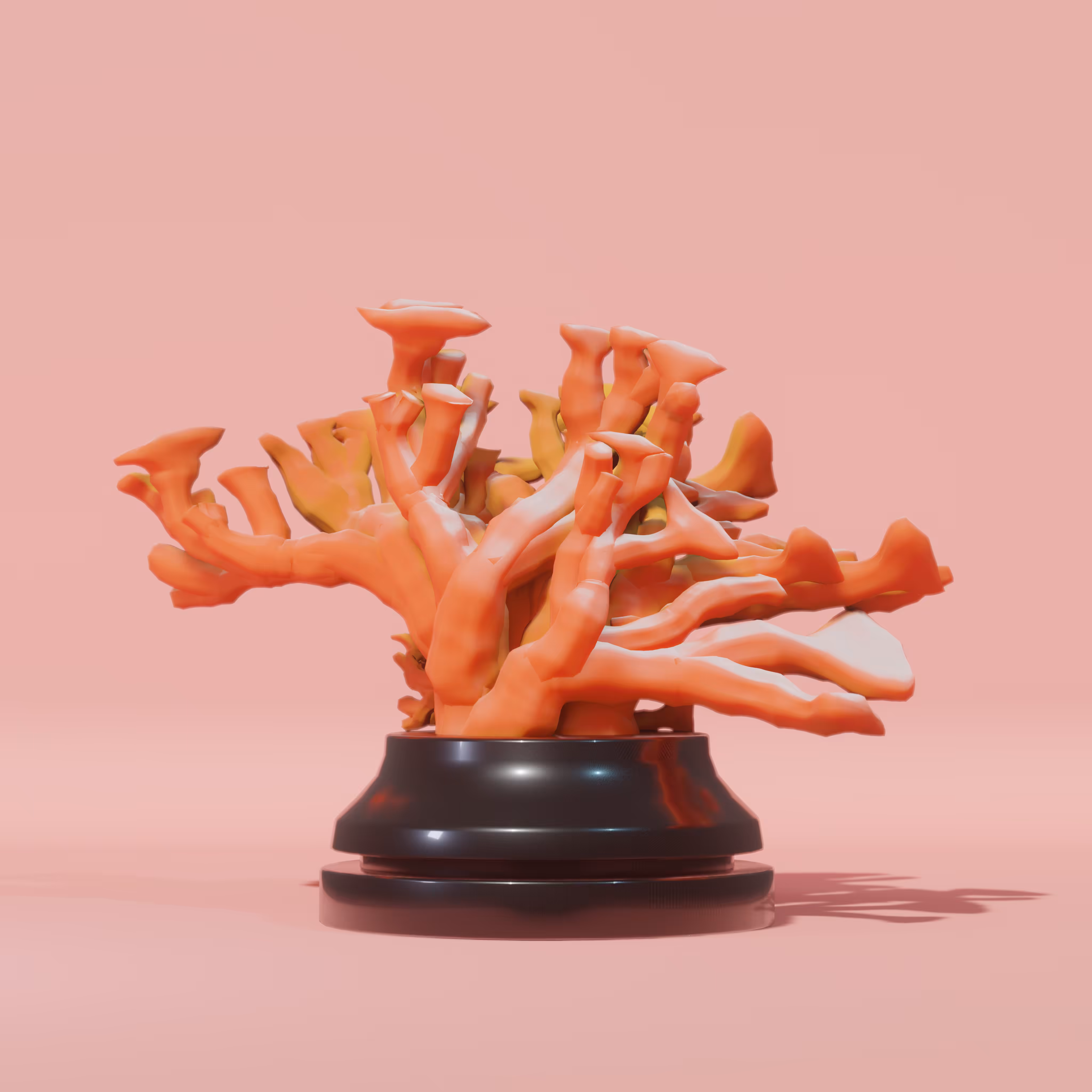 Acropora Sculpture - #02