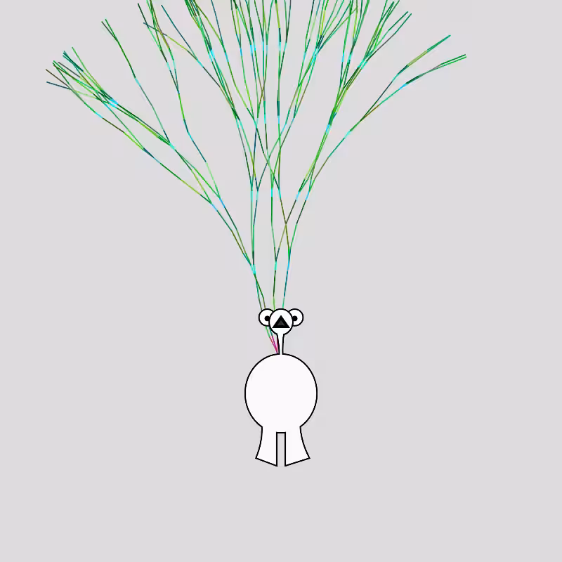 Peacocks #196