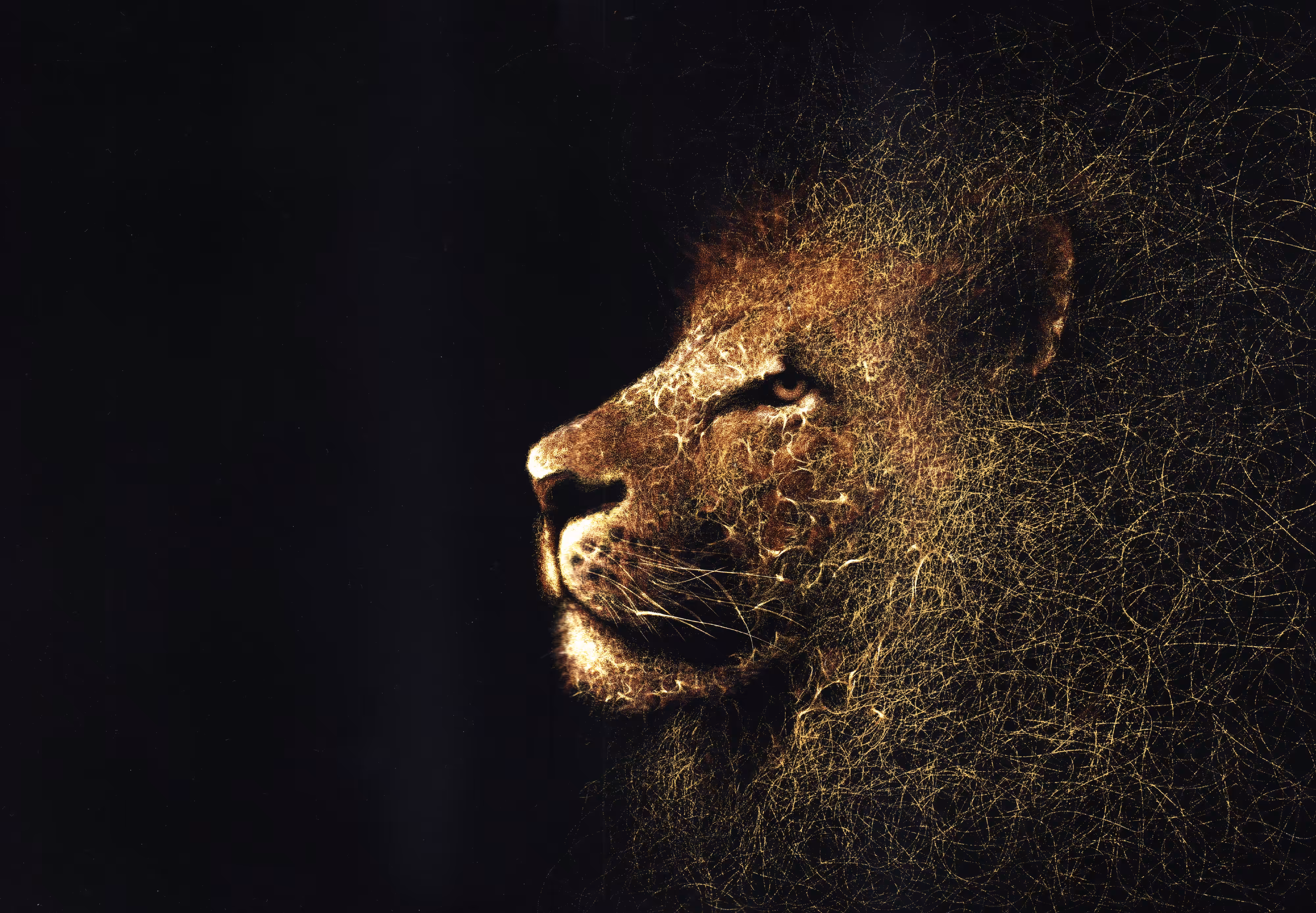 Leo. Beginning