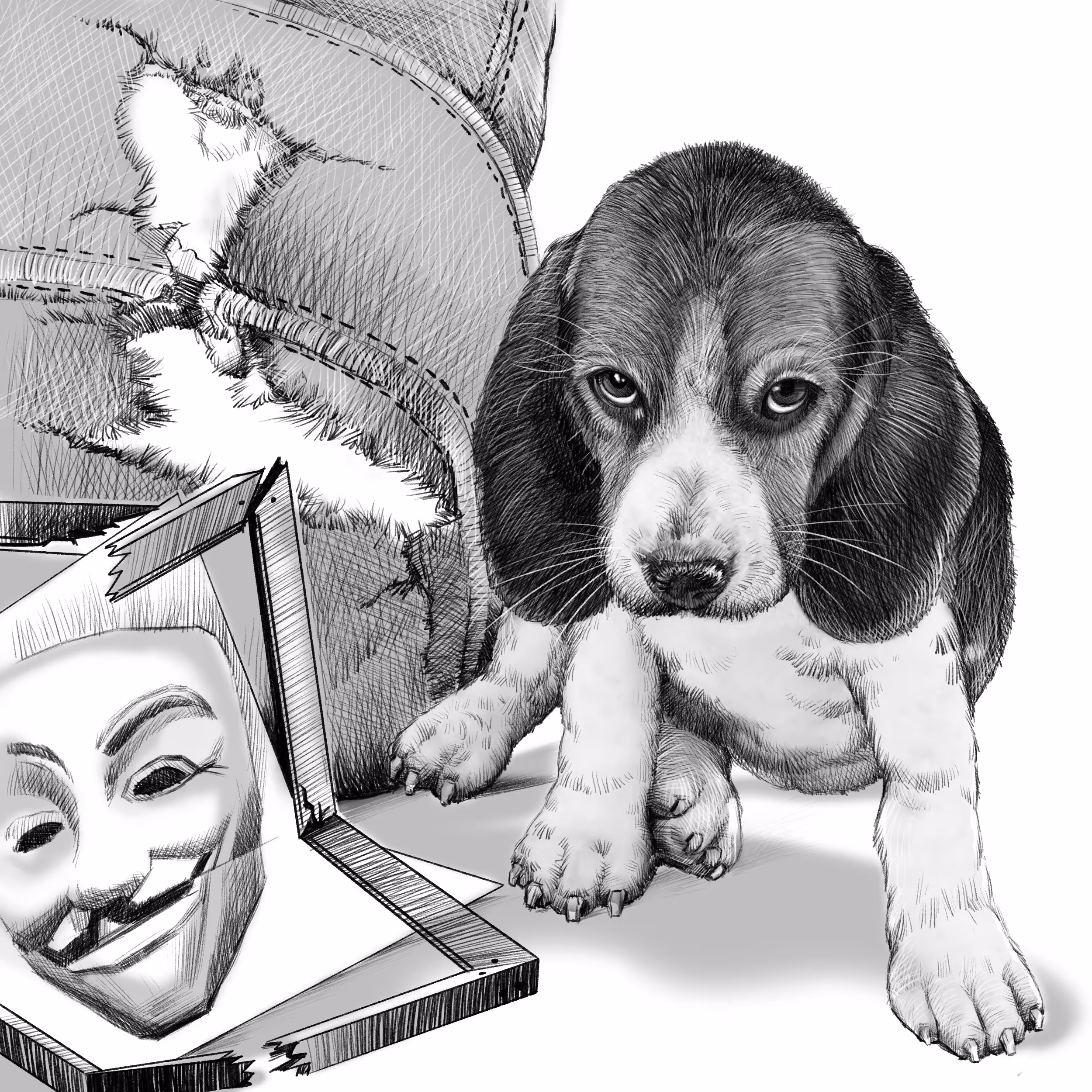 Amazing Beagle