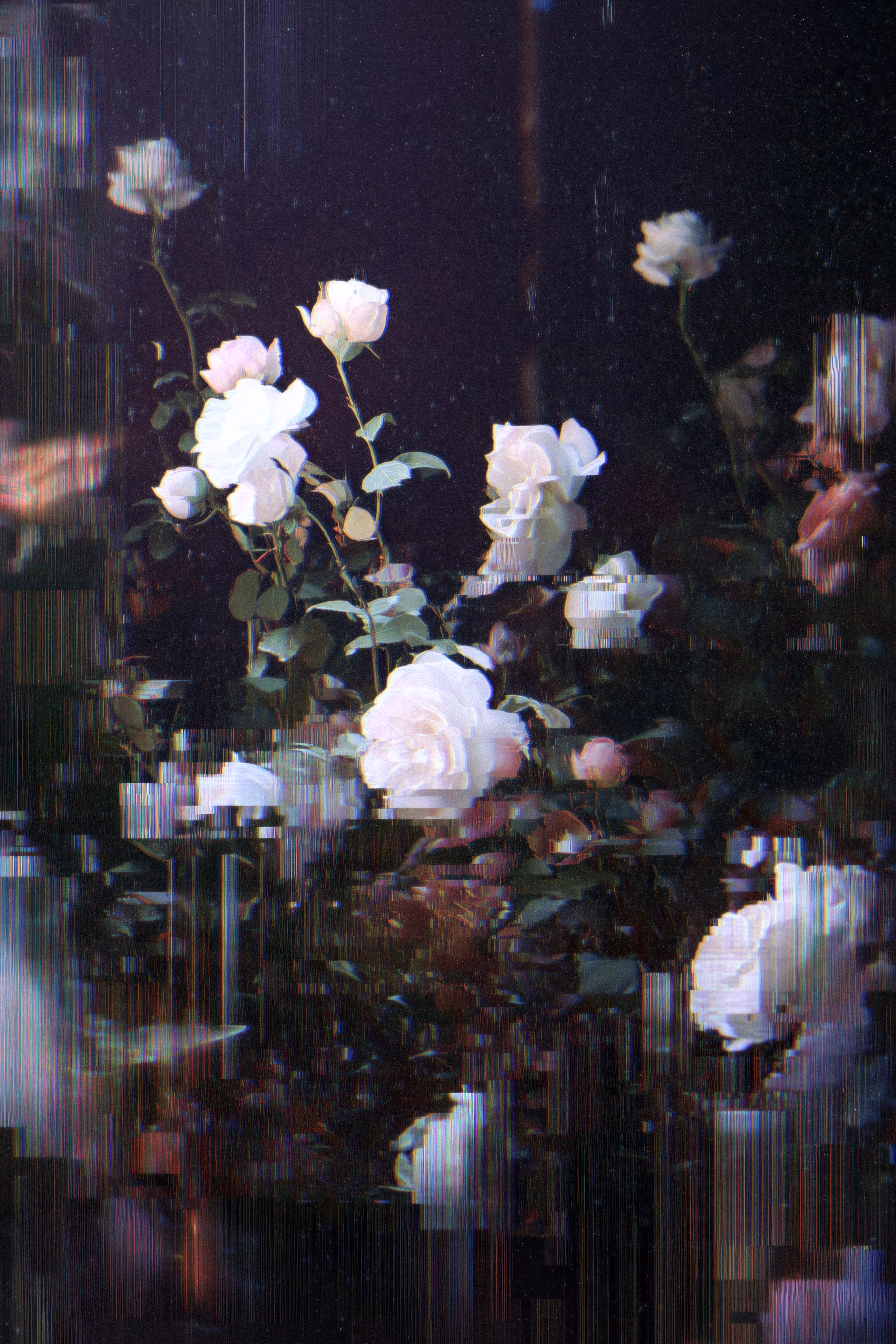 Damaged Spring