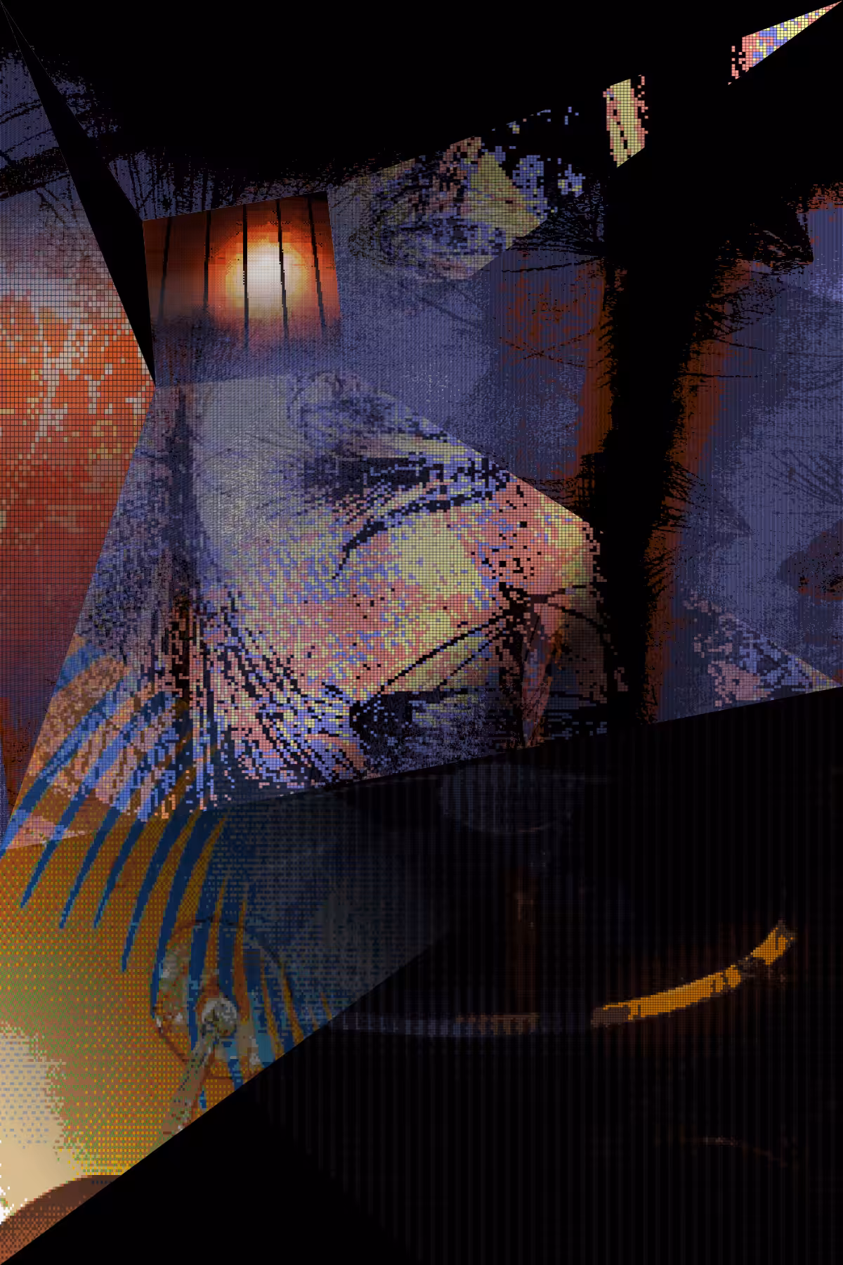 nocturnalities_1