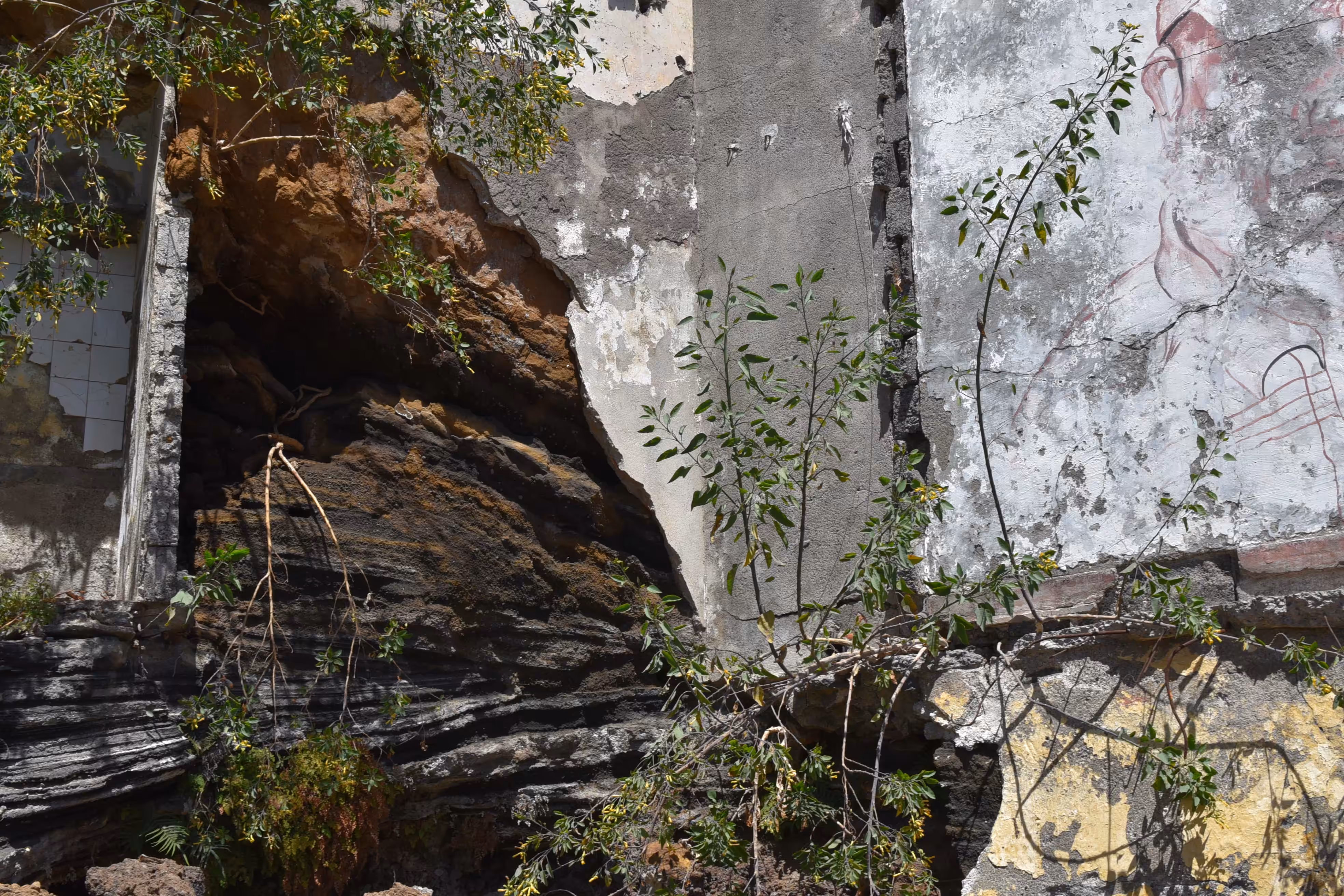 Reclaimed Space