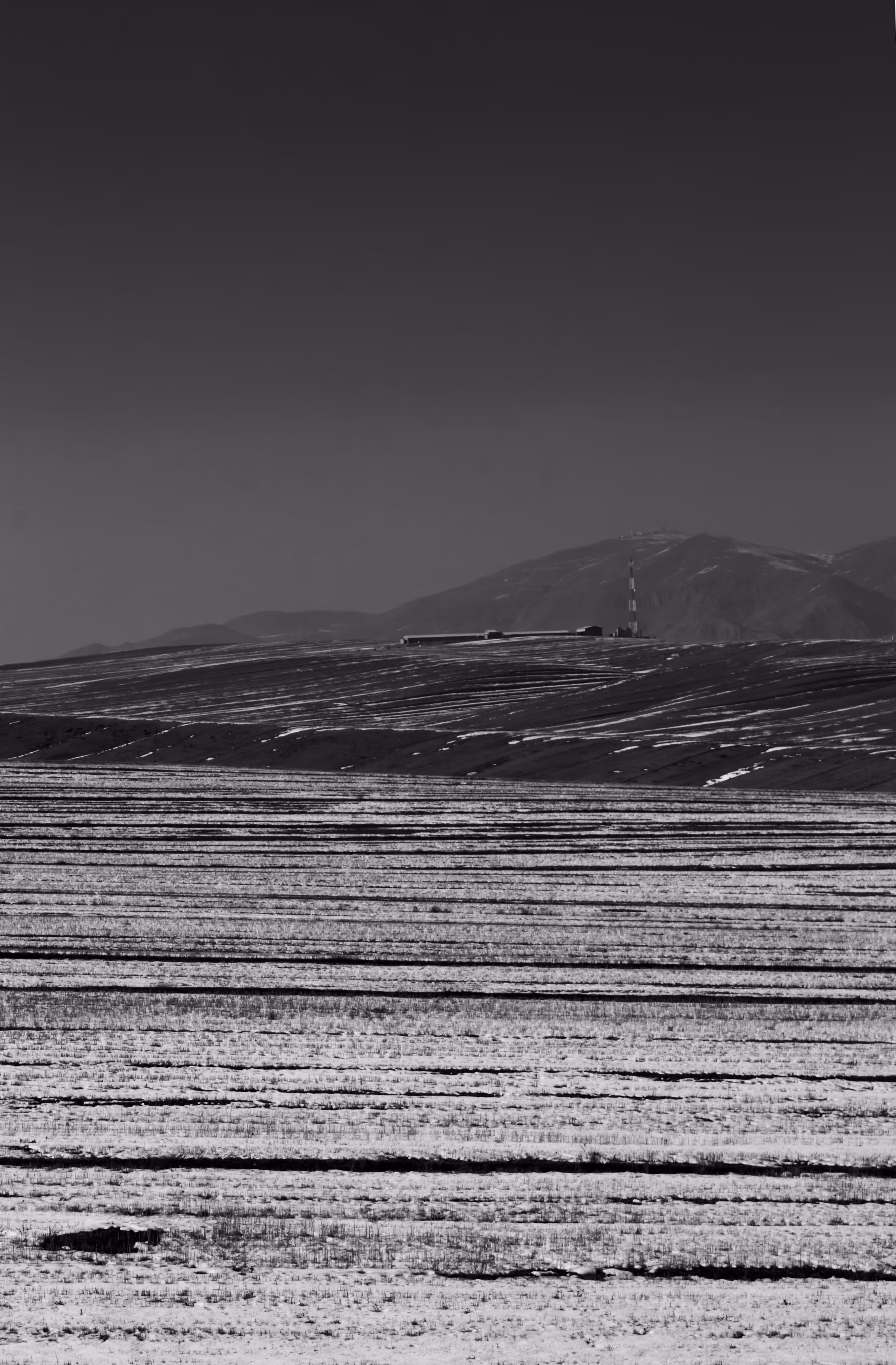 Dark Horizon