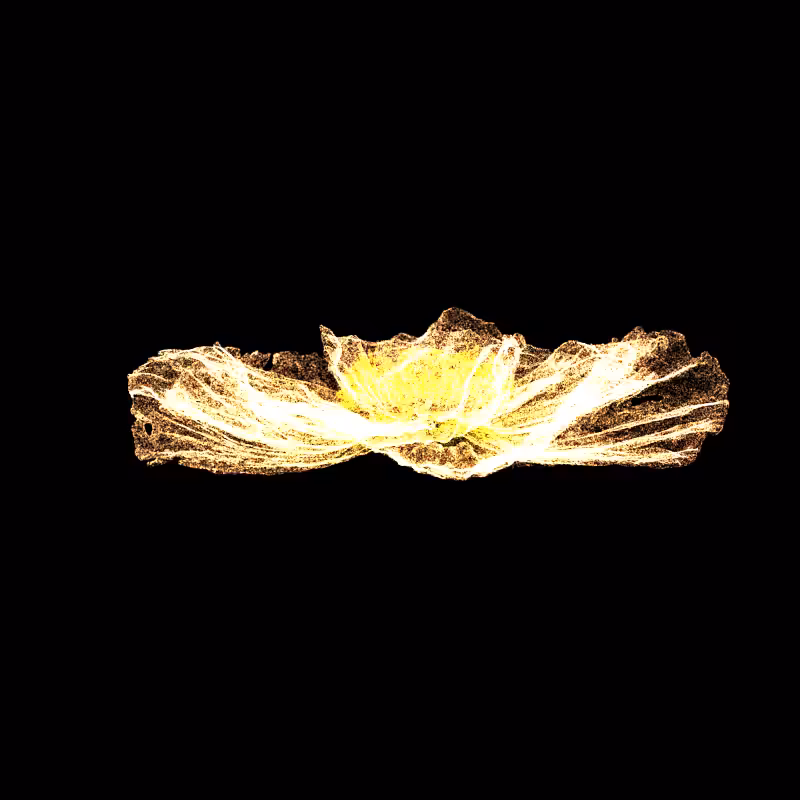 White Poppy 30 #234