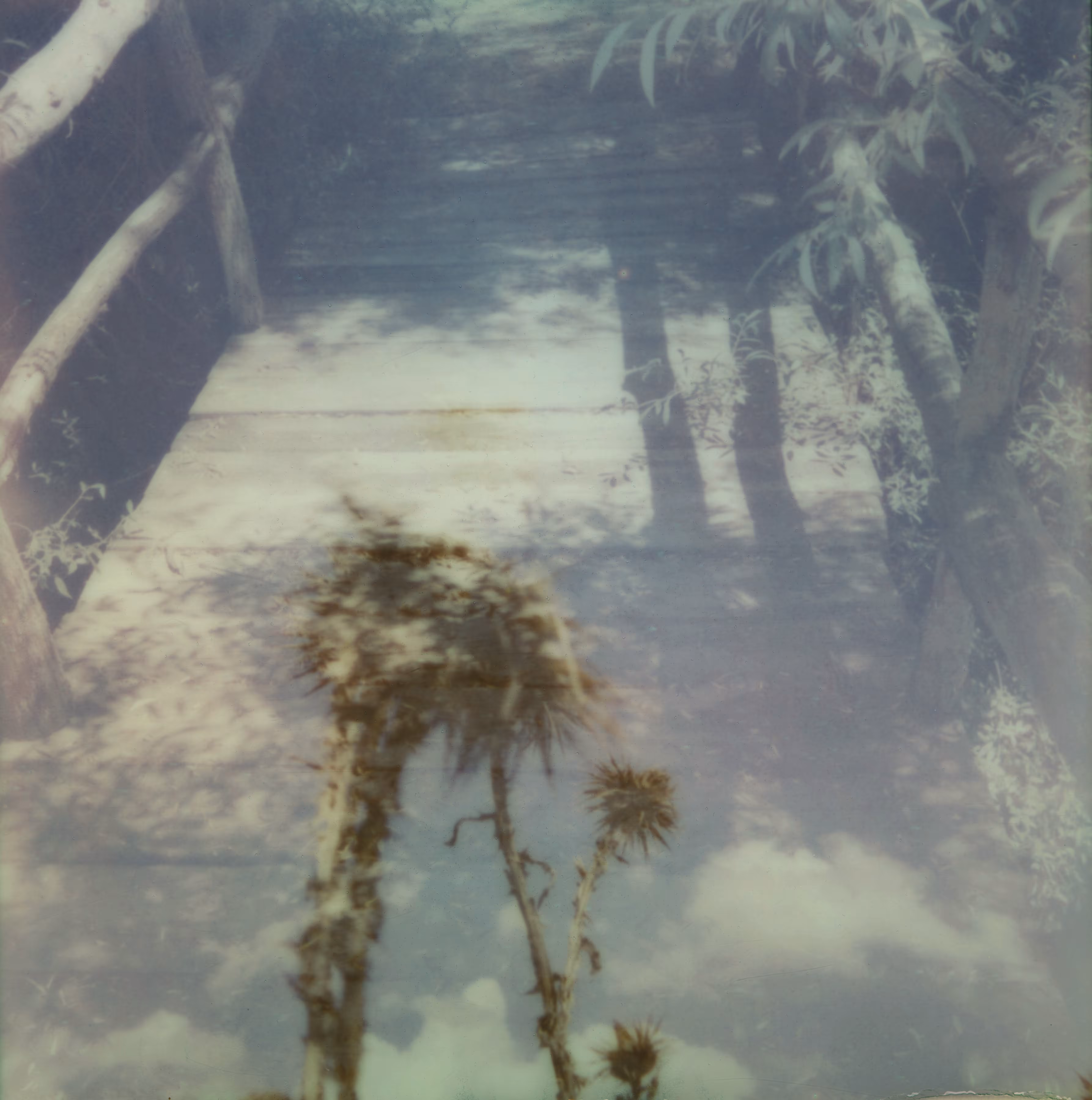 Letting go: 09.09