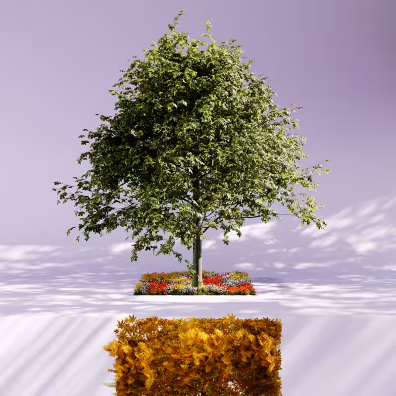 Nature rooms #37