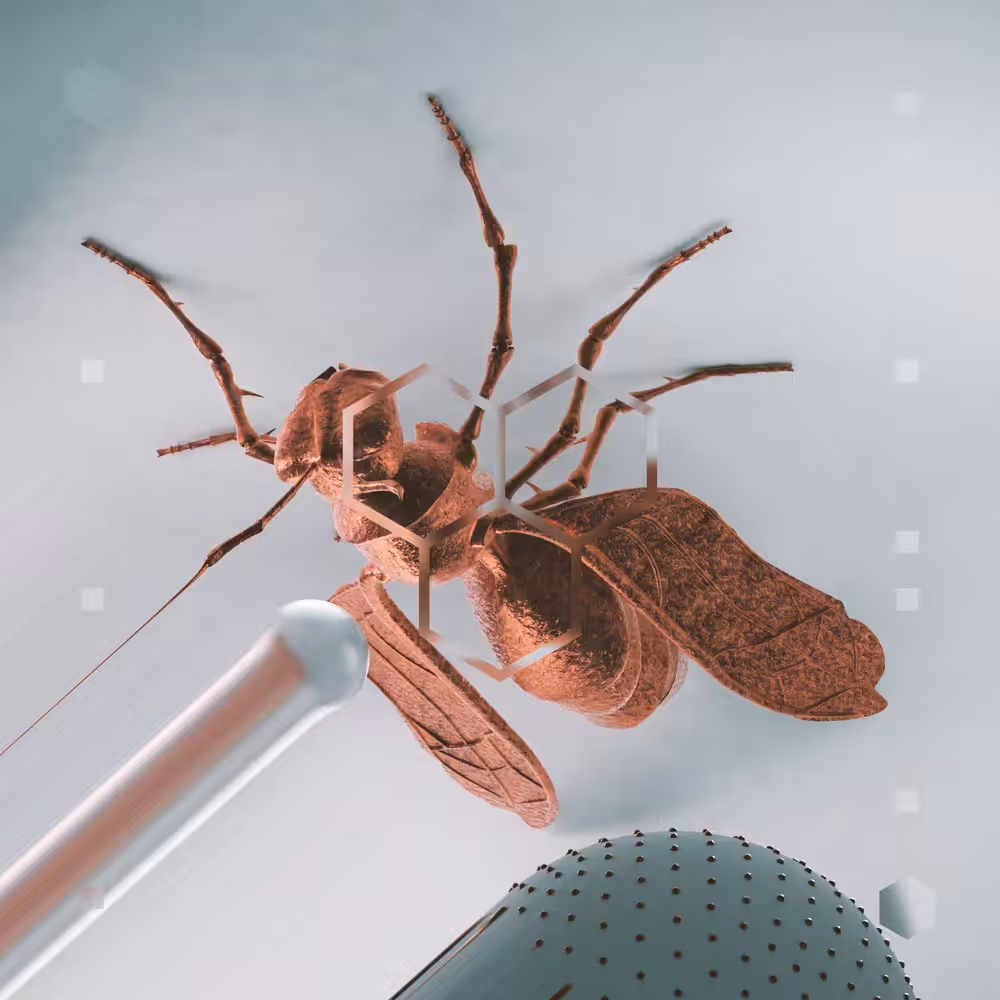 Copper Wasp
