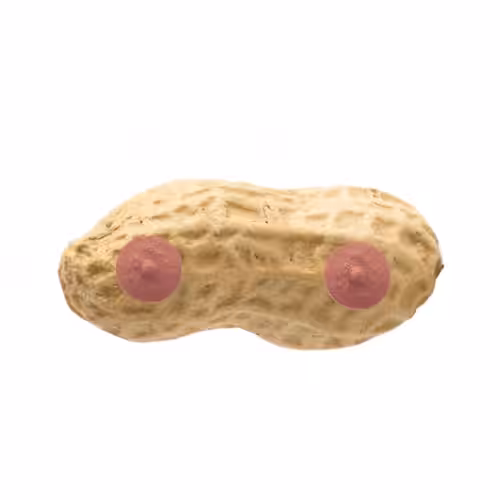 Peanut with Nipples, 2021