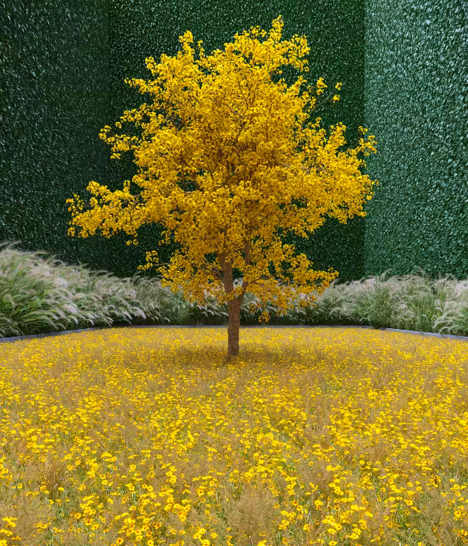 Garden of Imagination #31