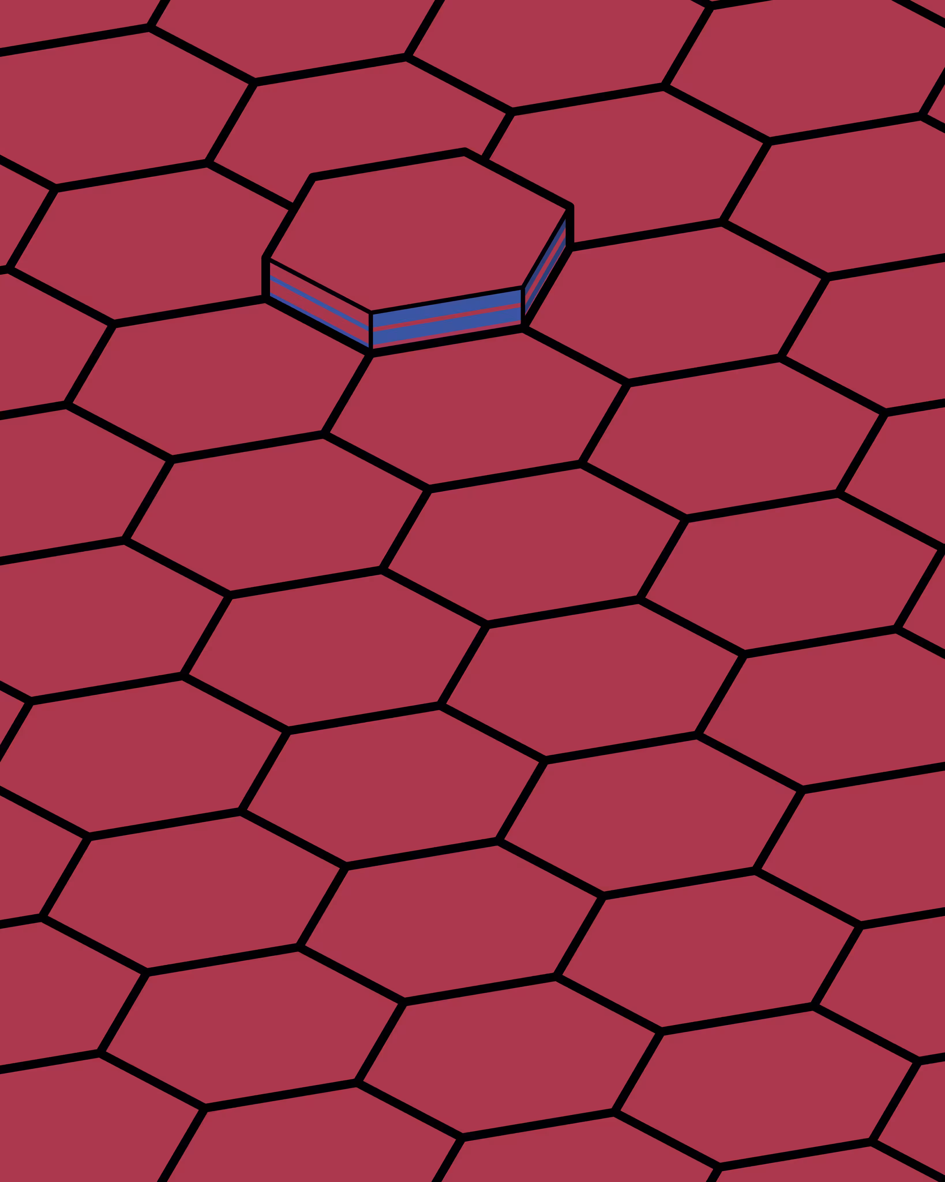Hexagones Landscape #355