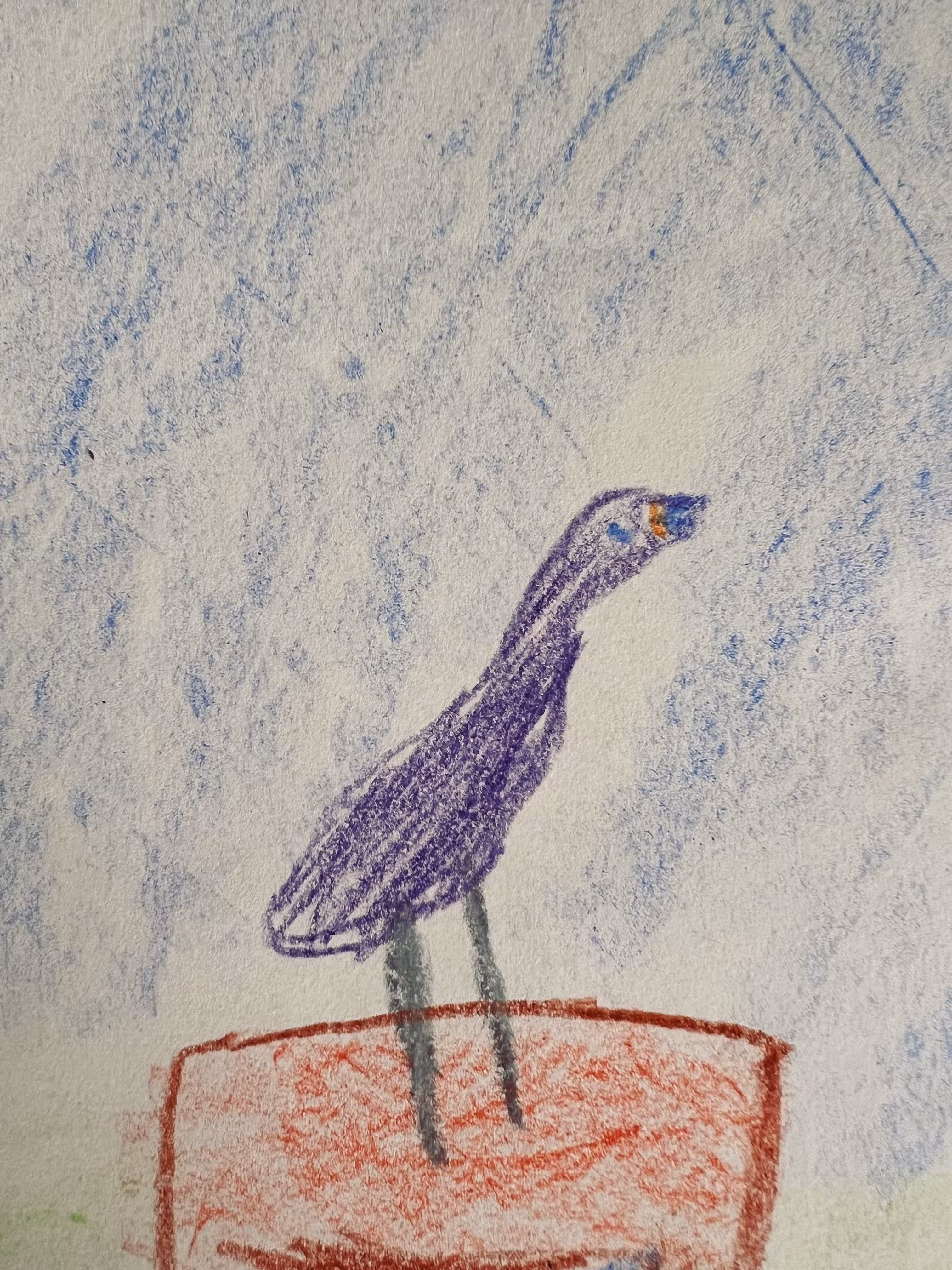 Purple bird on a grey day