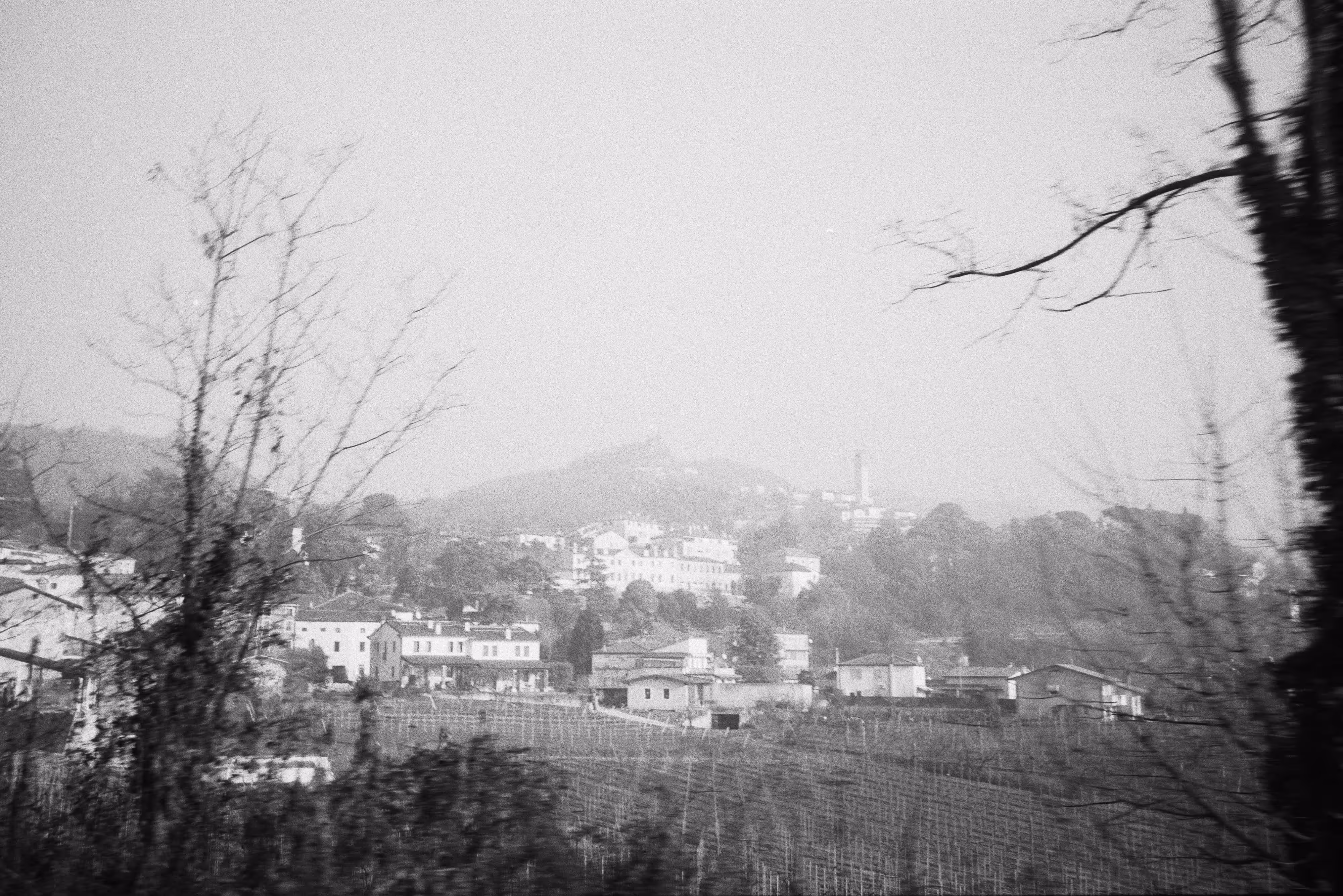 IMAGE 12
