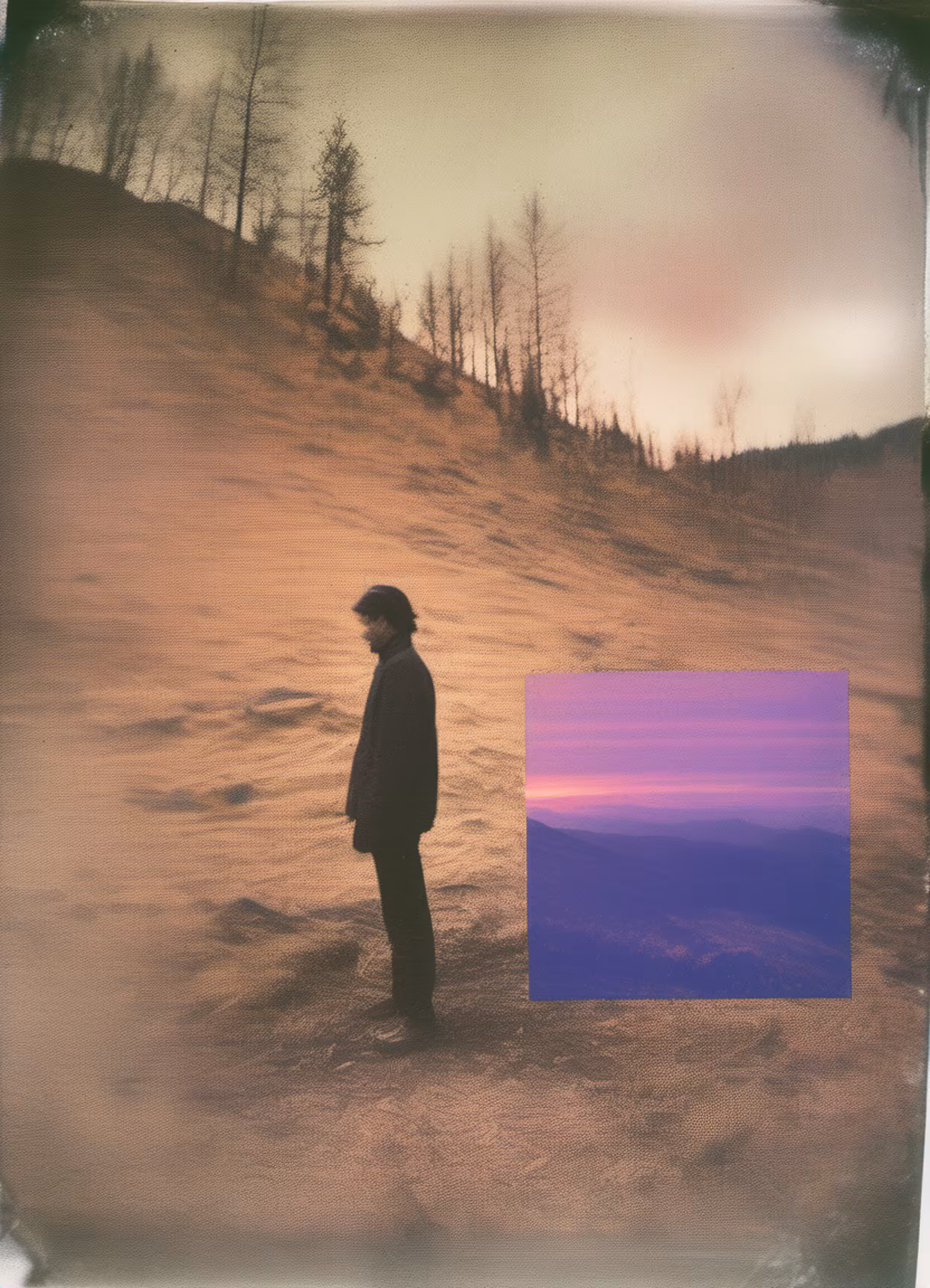 Summer Distortions #24