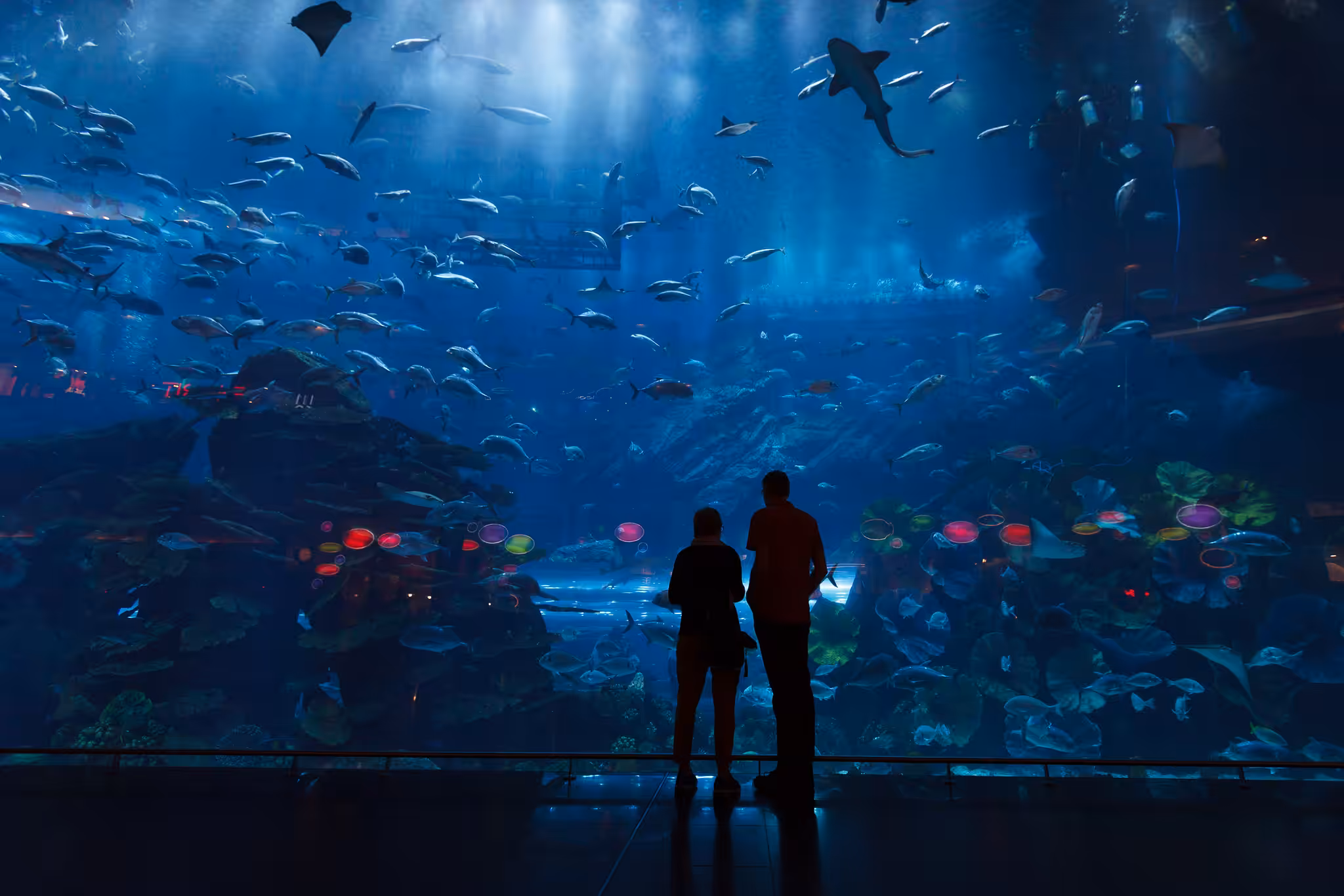 Deep Blue World