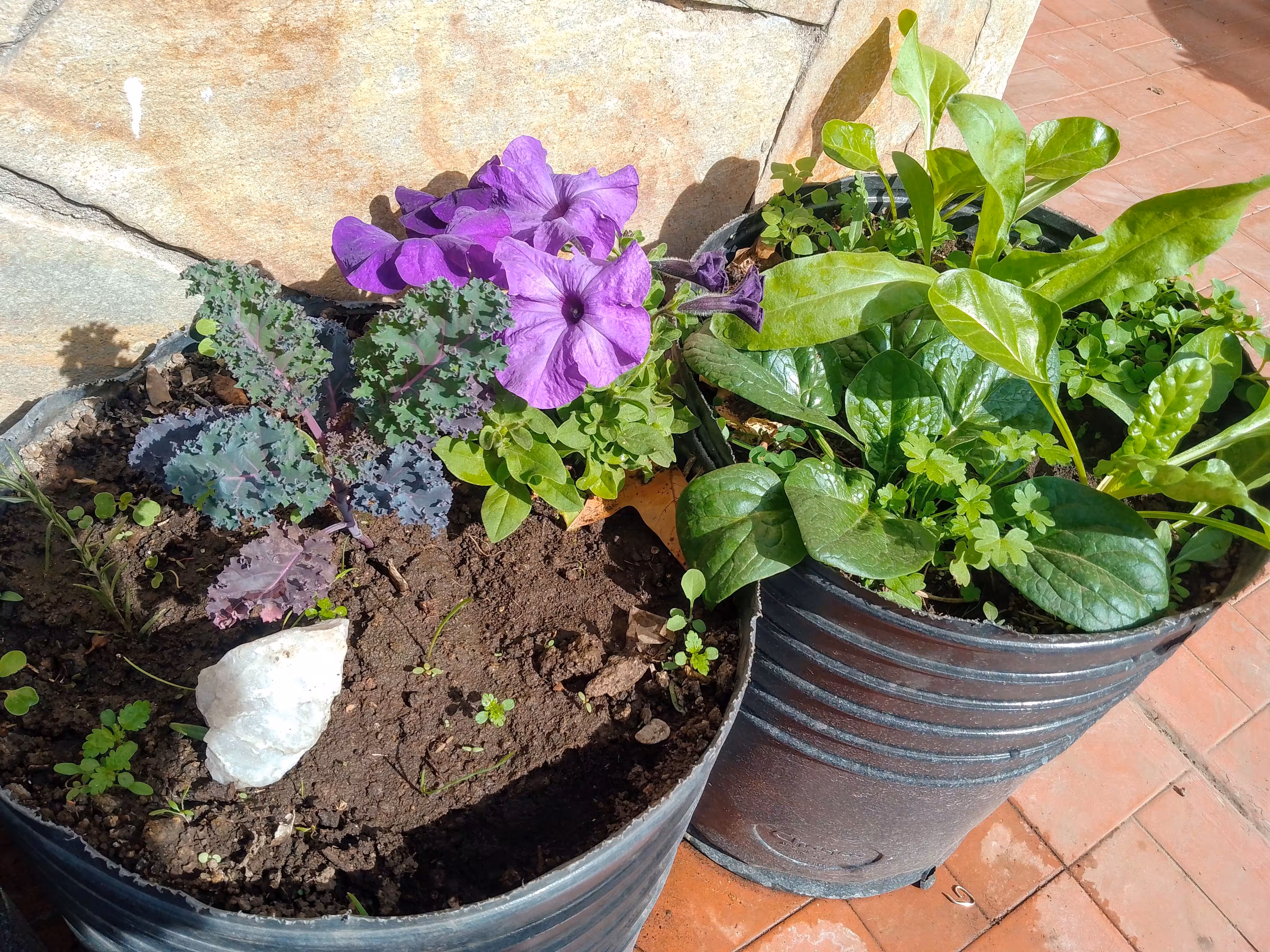 Tiny paradise