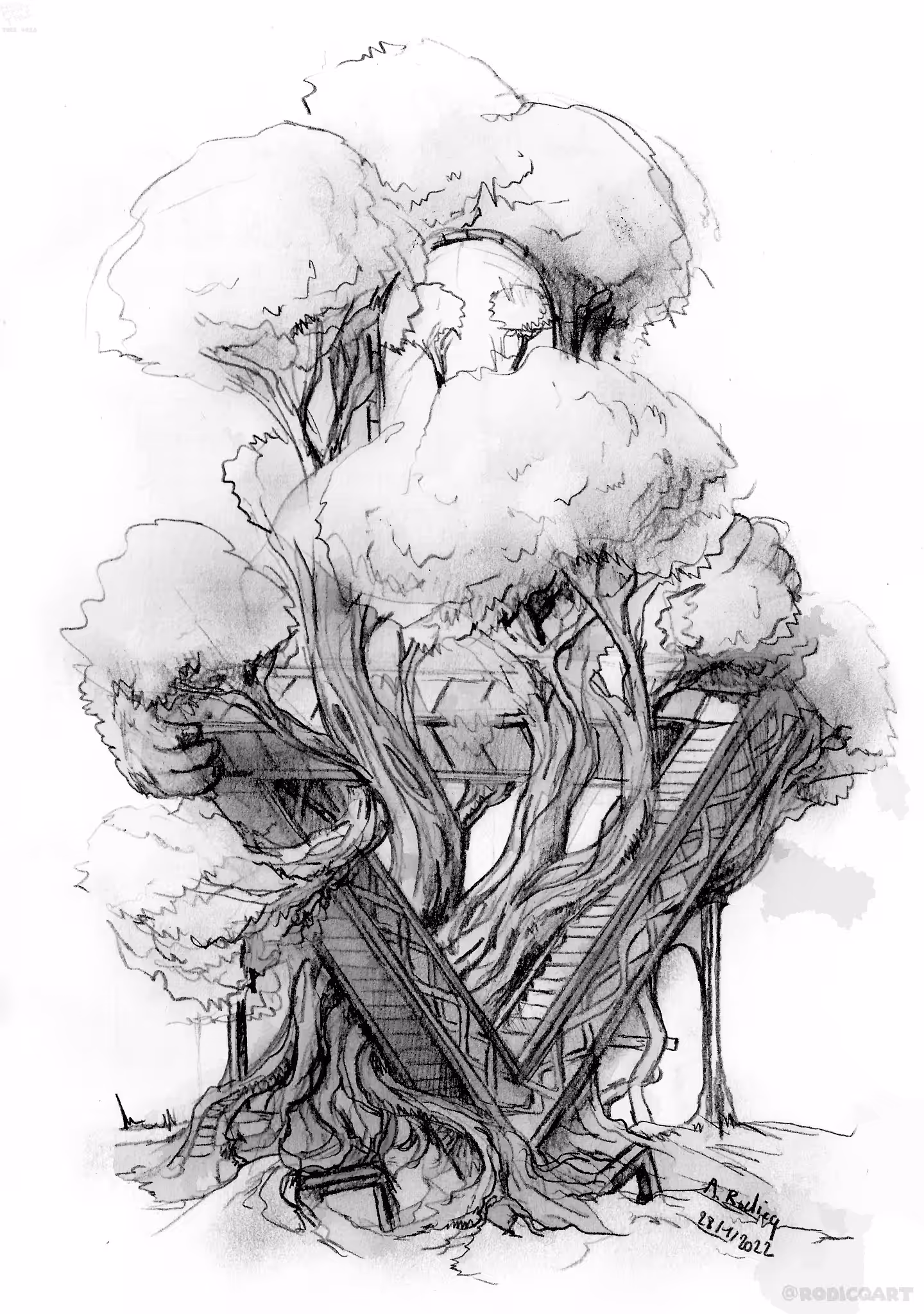 Tree 0018 : Escher Tree