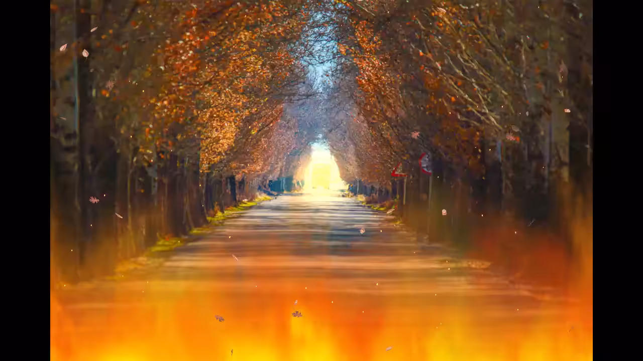 Fire in the forest