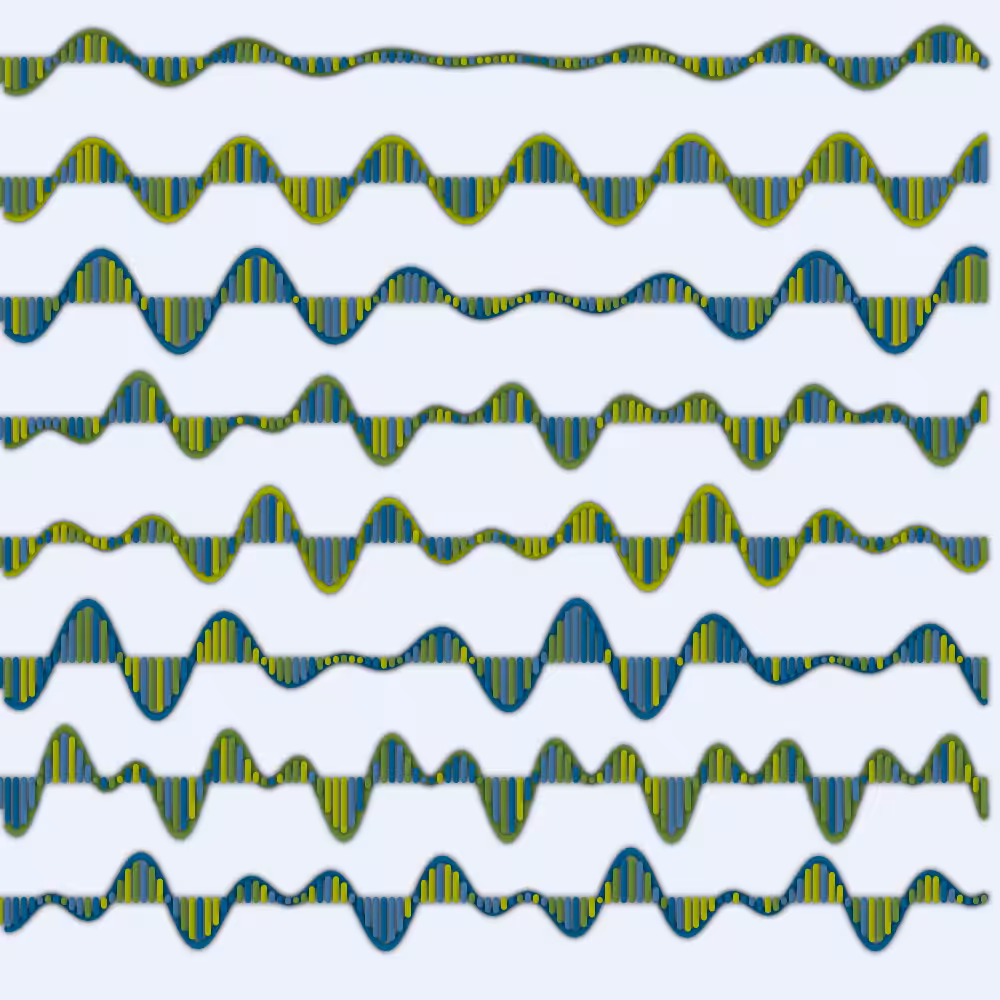 FourierSeries#07