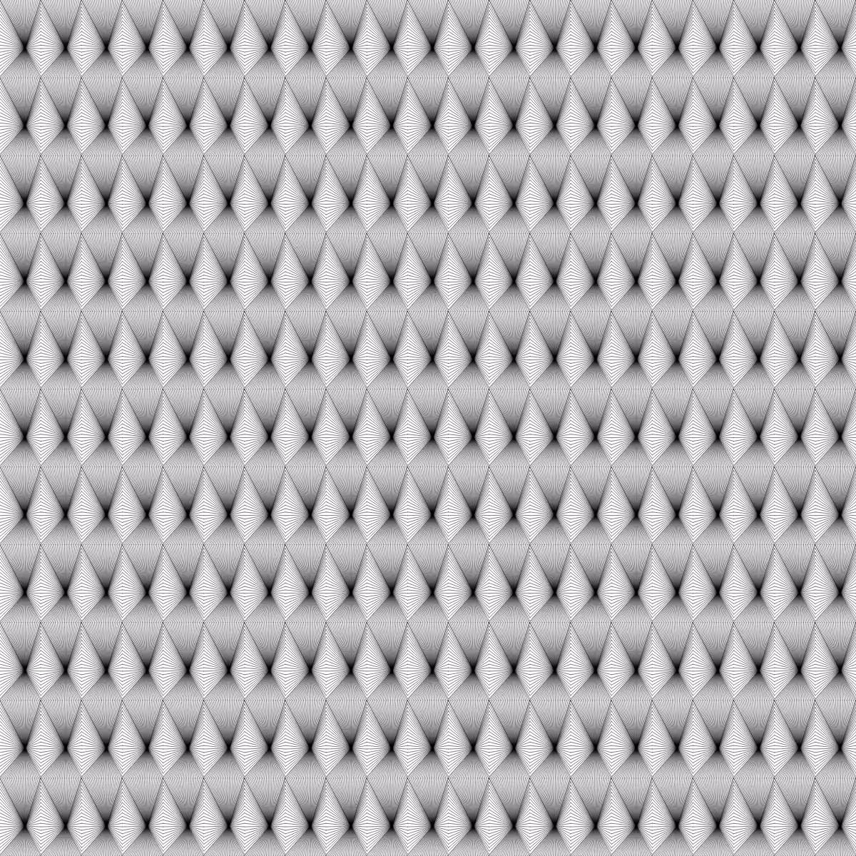 Noir et Blanc #132