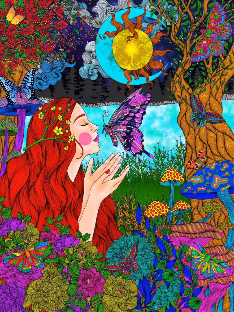 Butterfly Effect 