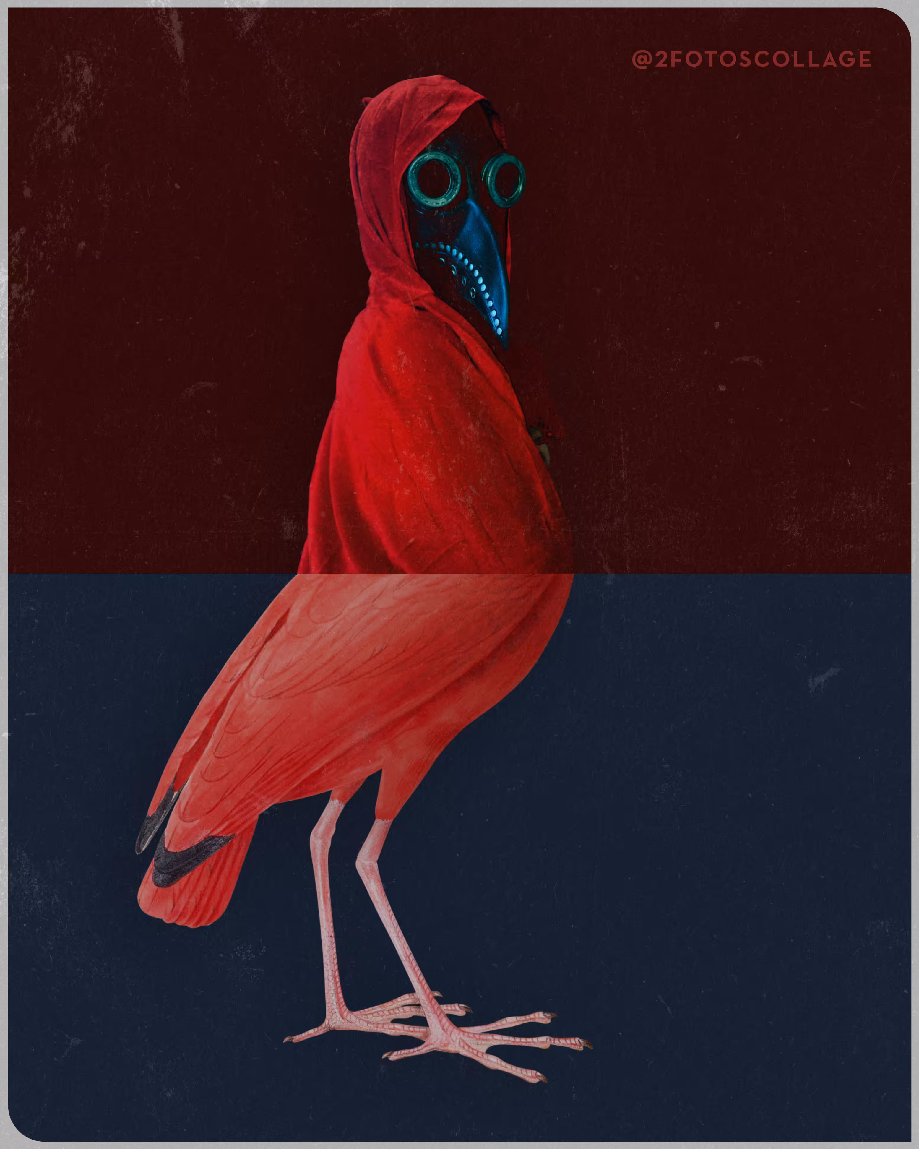 2FotosCollage x Nikomano Plague Doctor