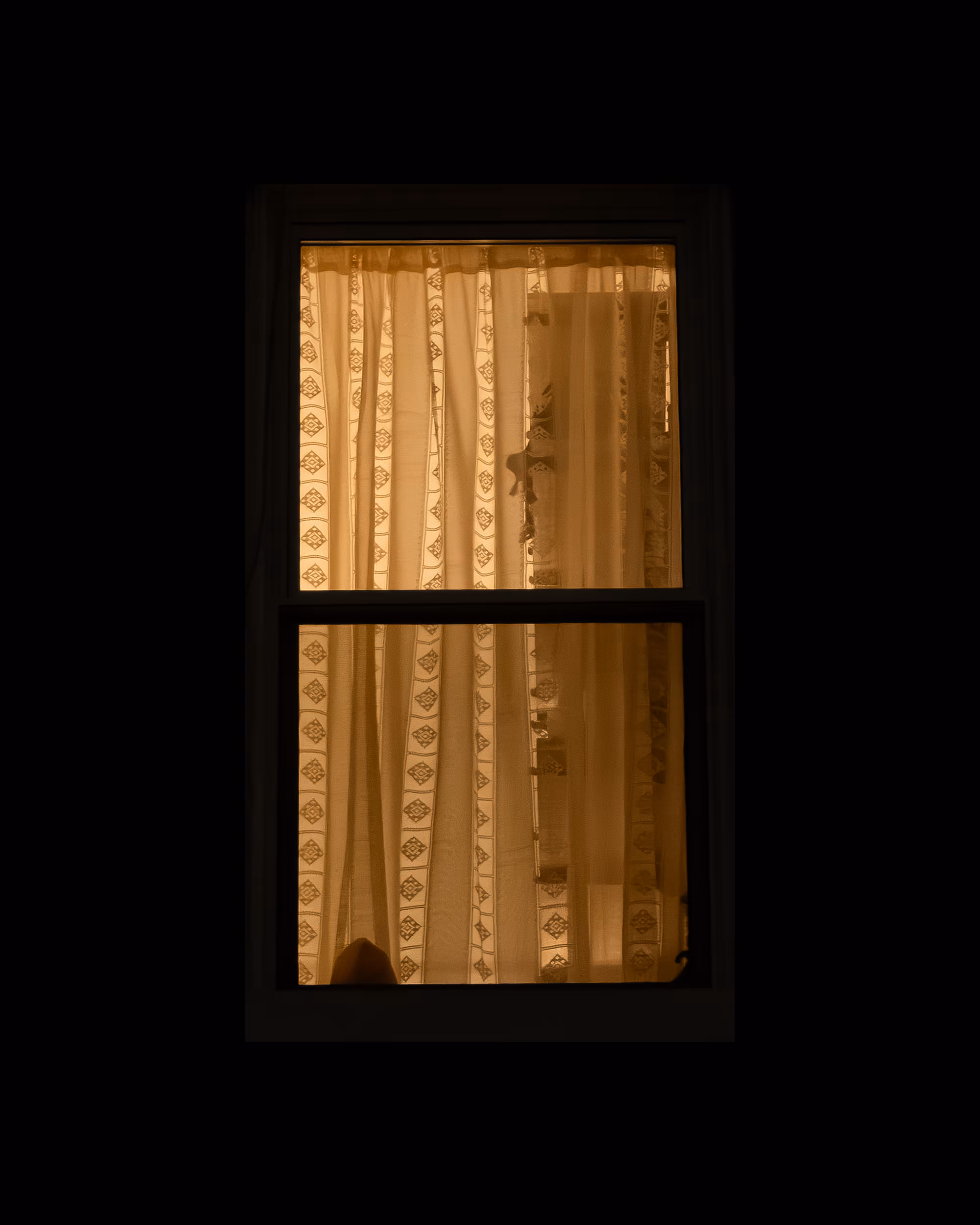 WINDOW 535