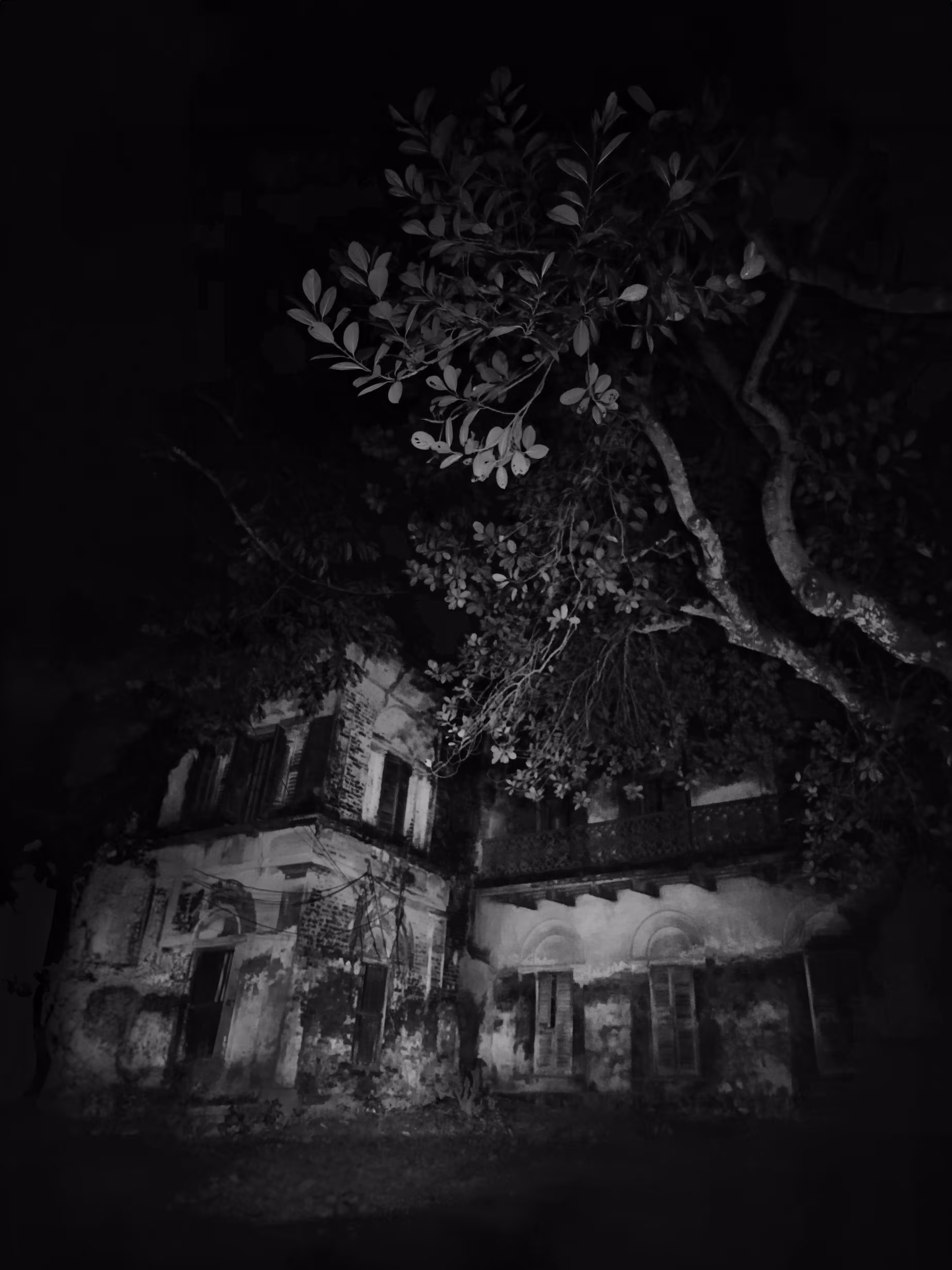 Shadows of a Broken Home