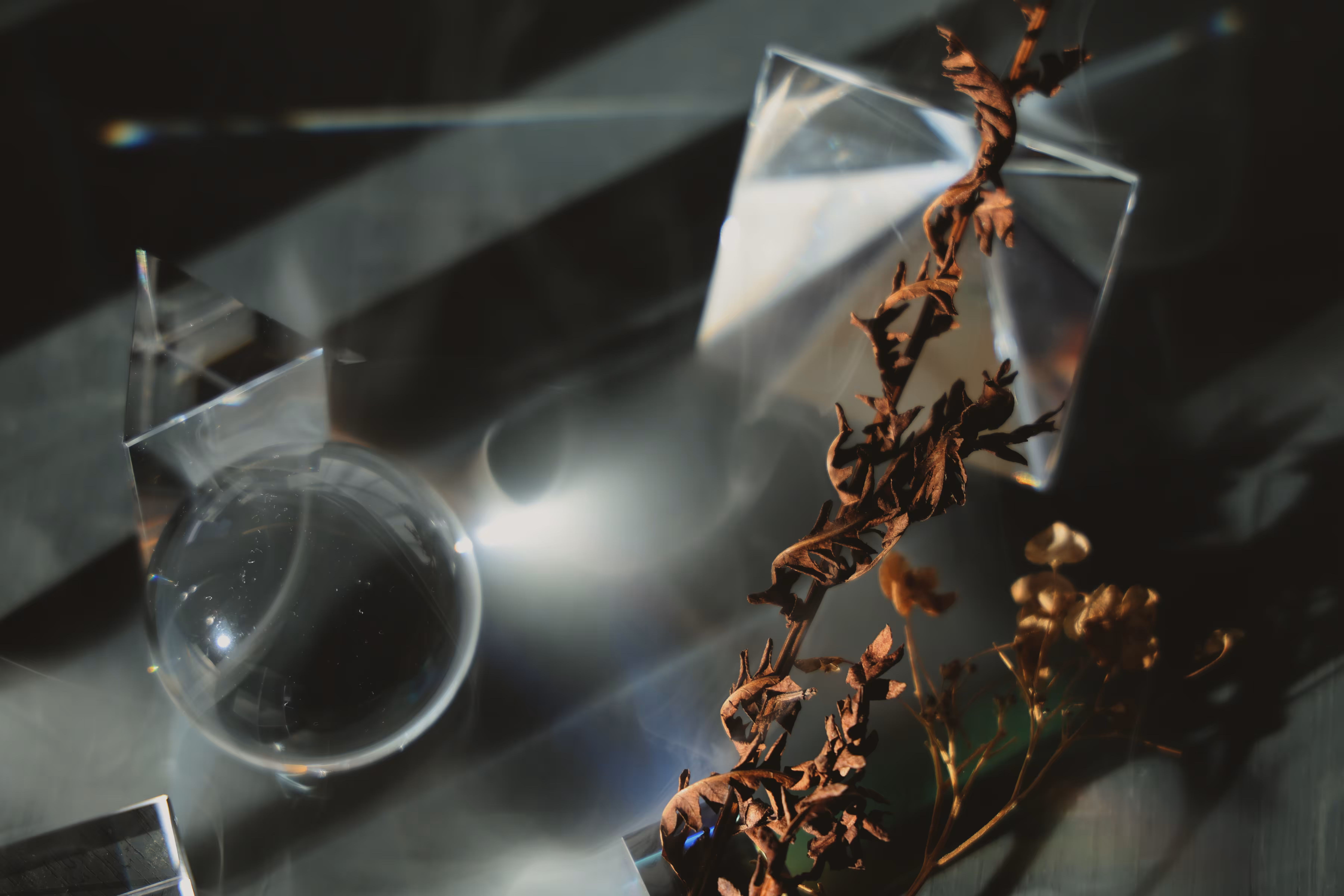 _spotlight