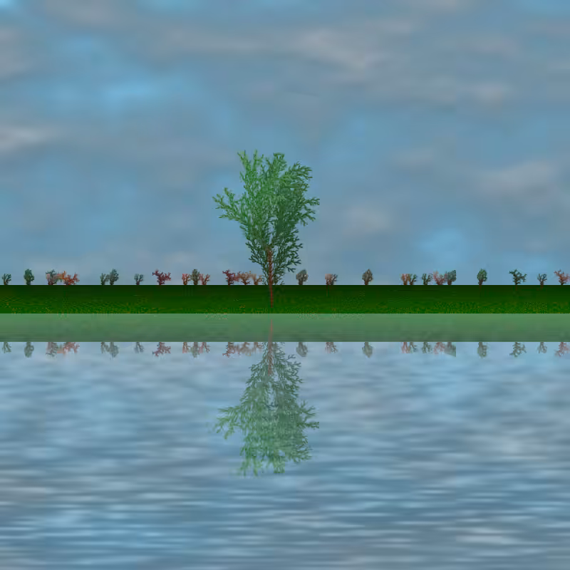 The dancing grove #11