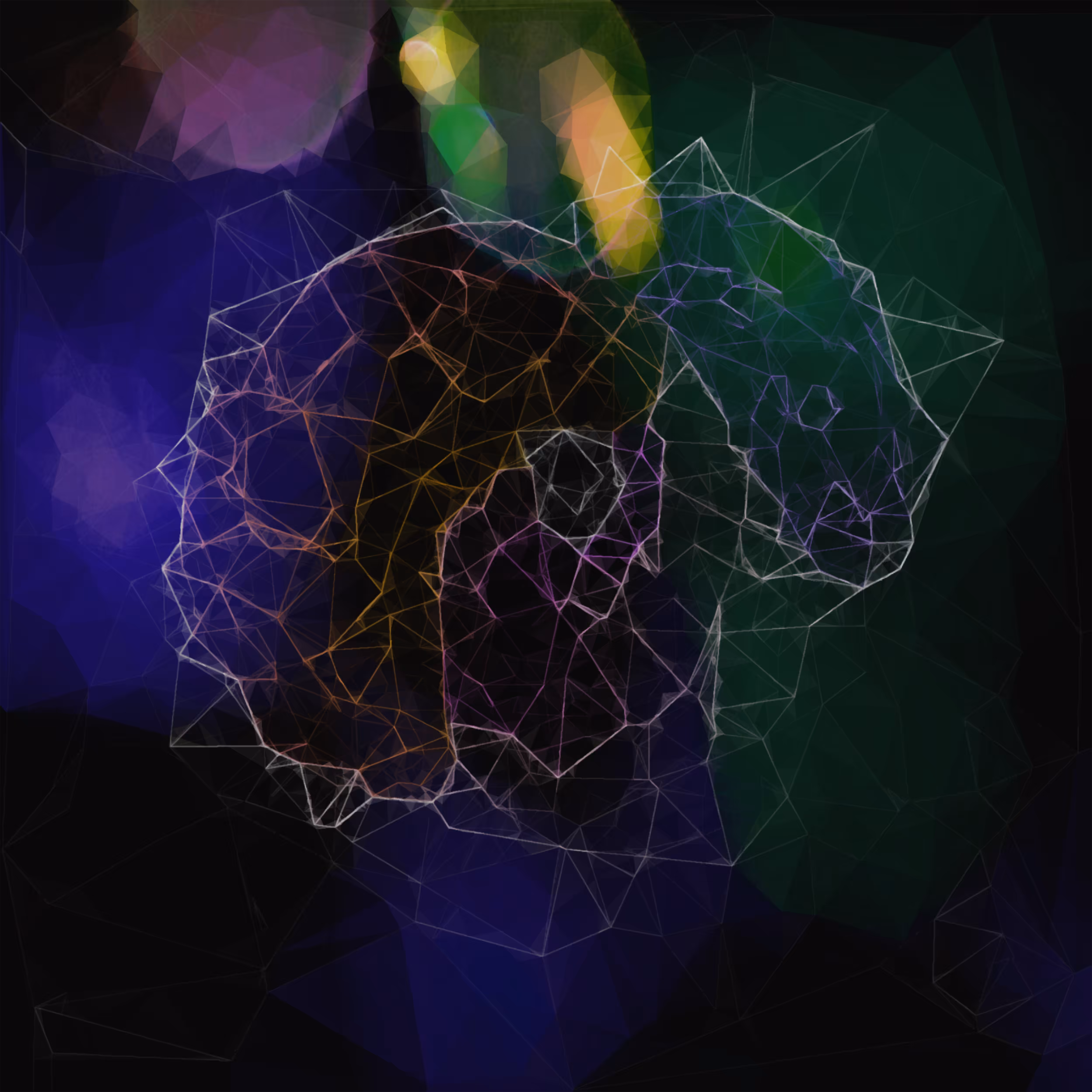 Cerebral Synapse 