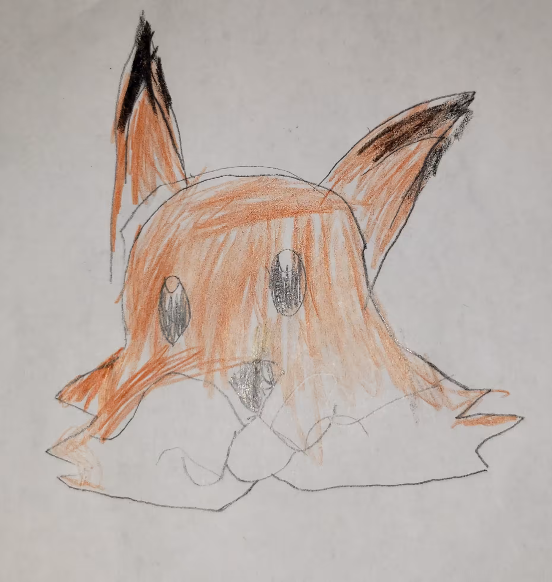 The Silly Fox (KAP#5.0)