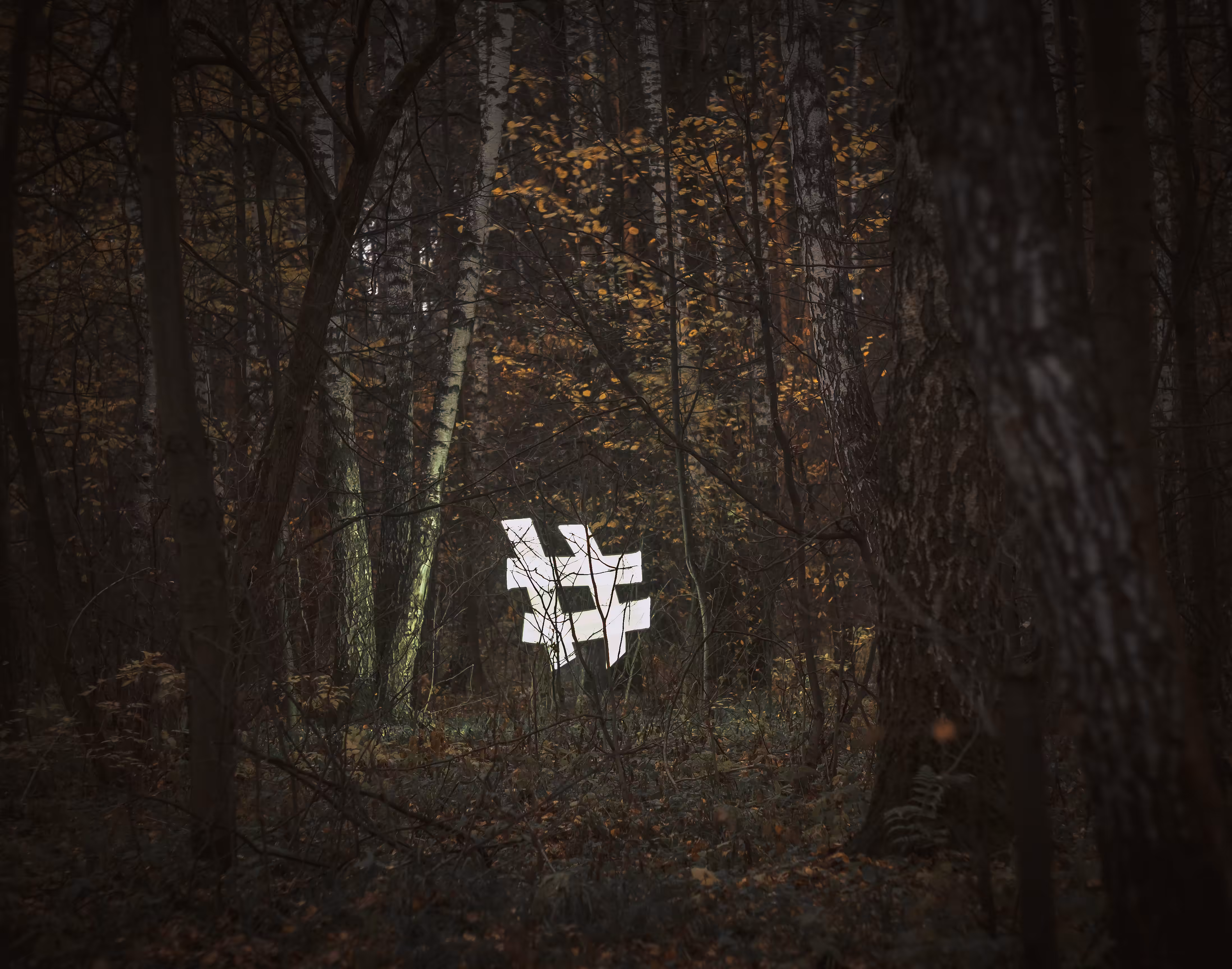 Signs.