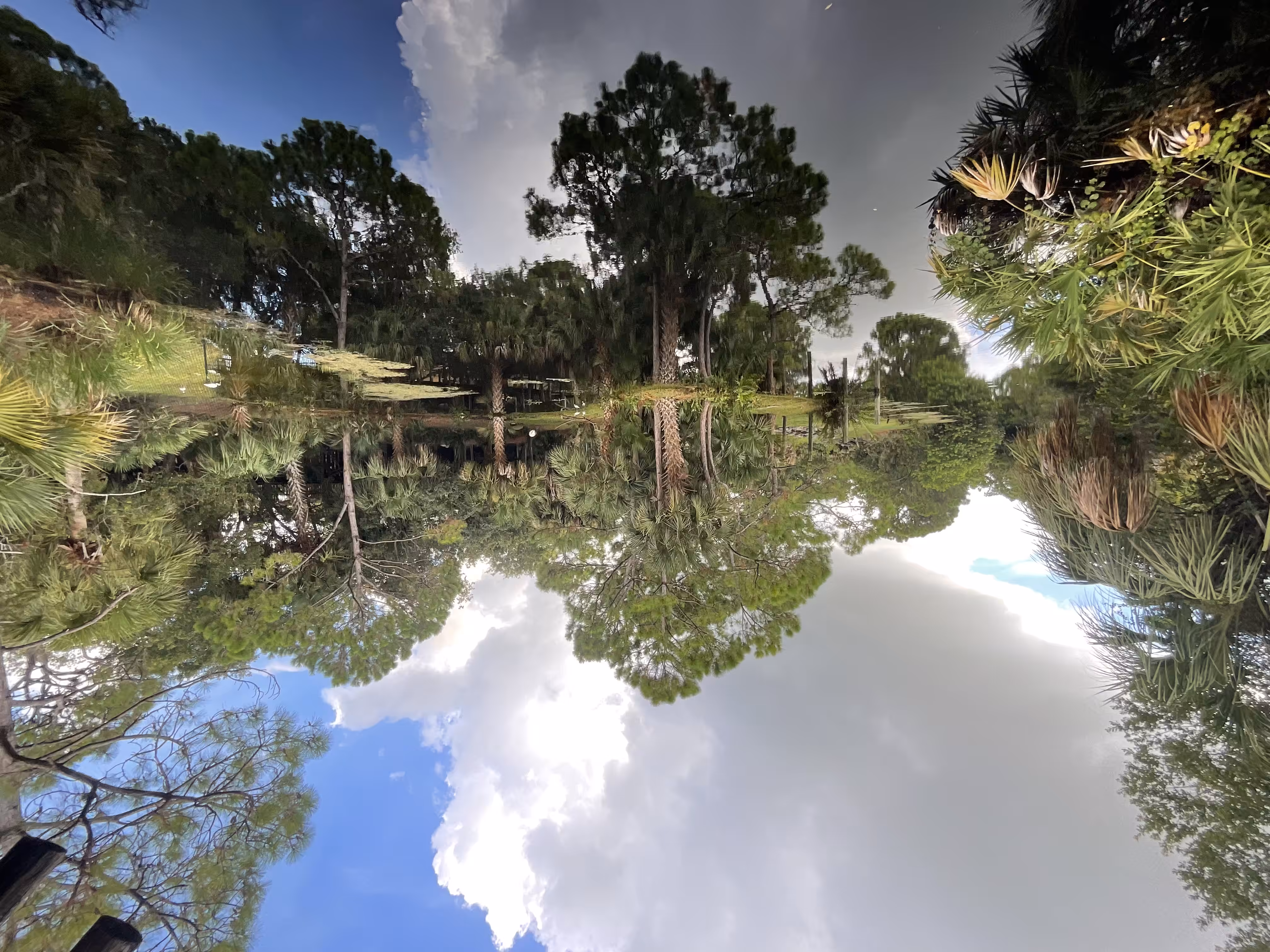 Peaceful Creek Wide