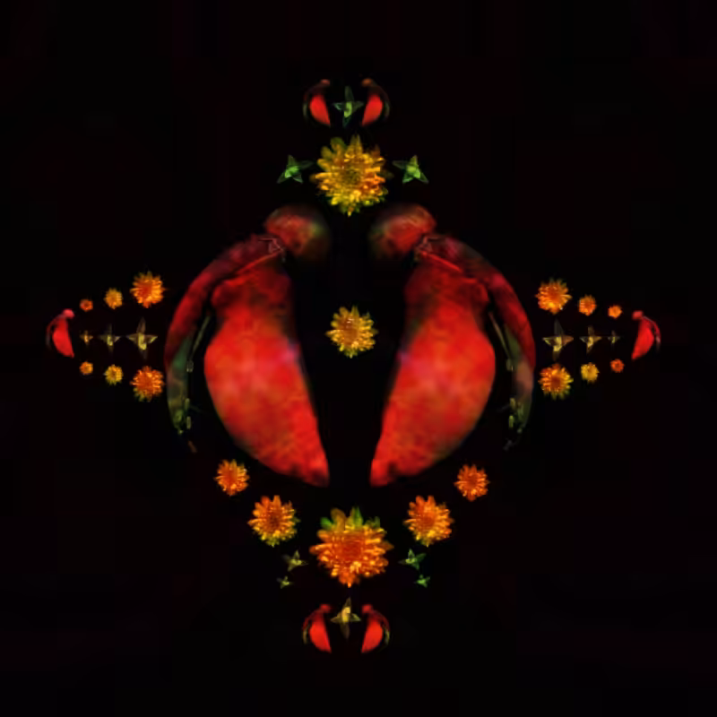 ARIES -the star-