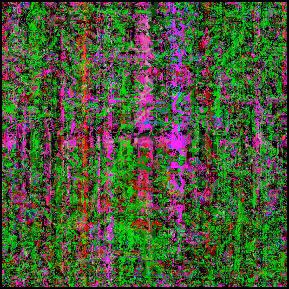 Glitch Generator #49